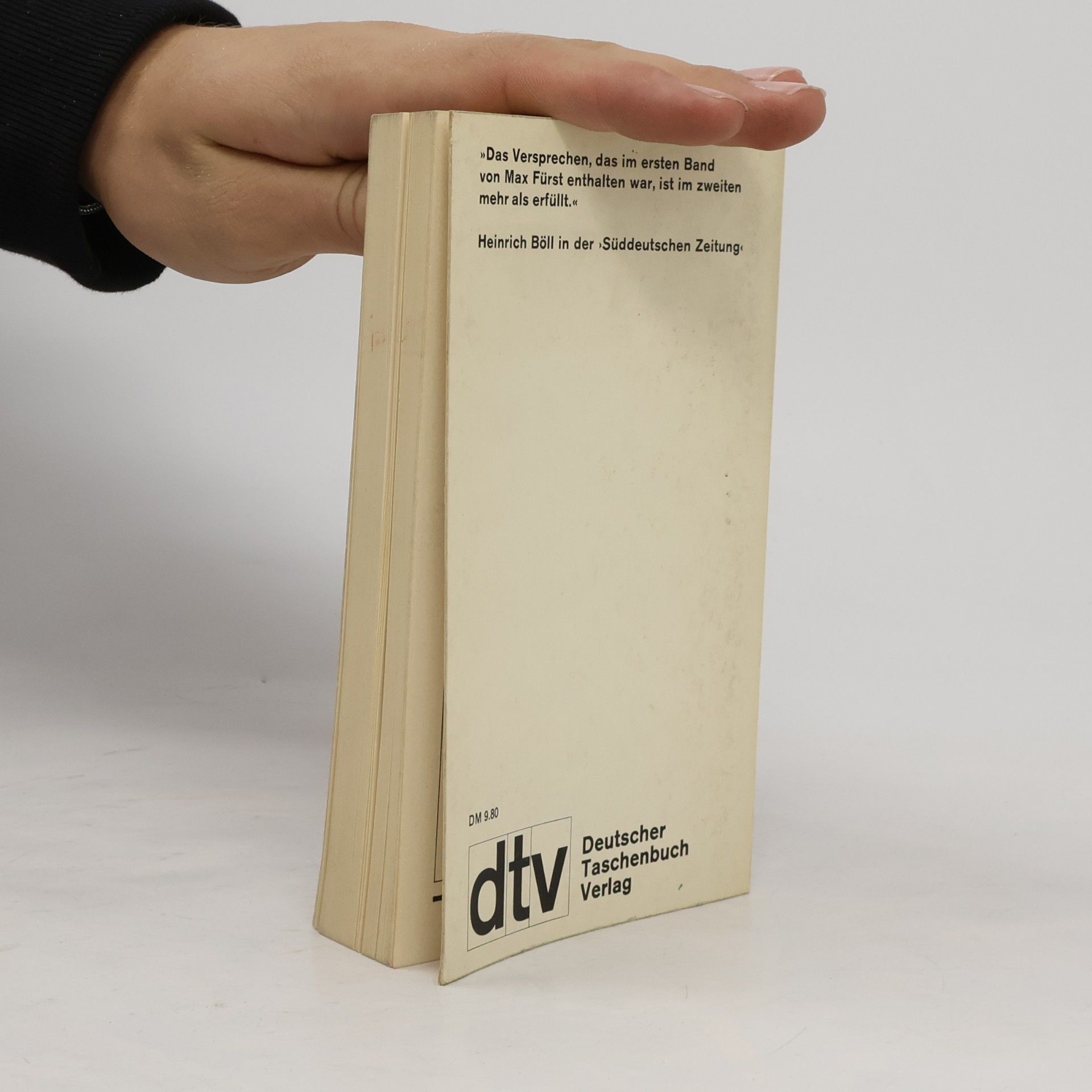Max Fürst Talisman Scheherezade (dtv Literatur)