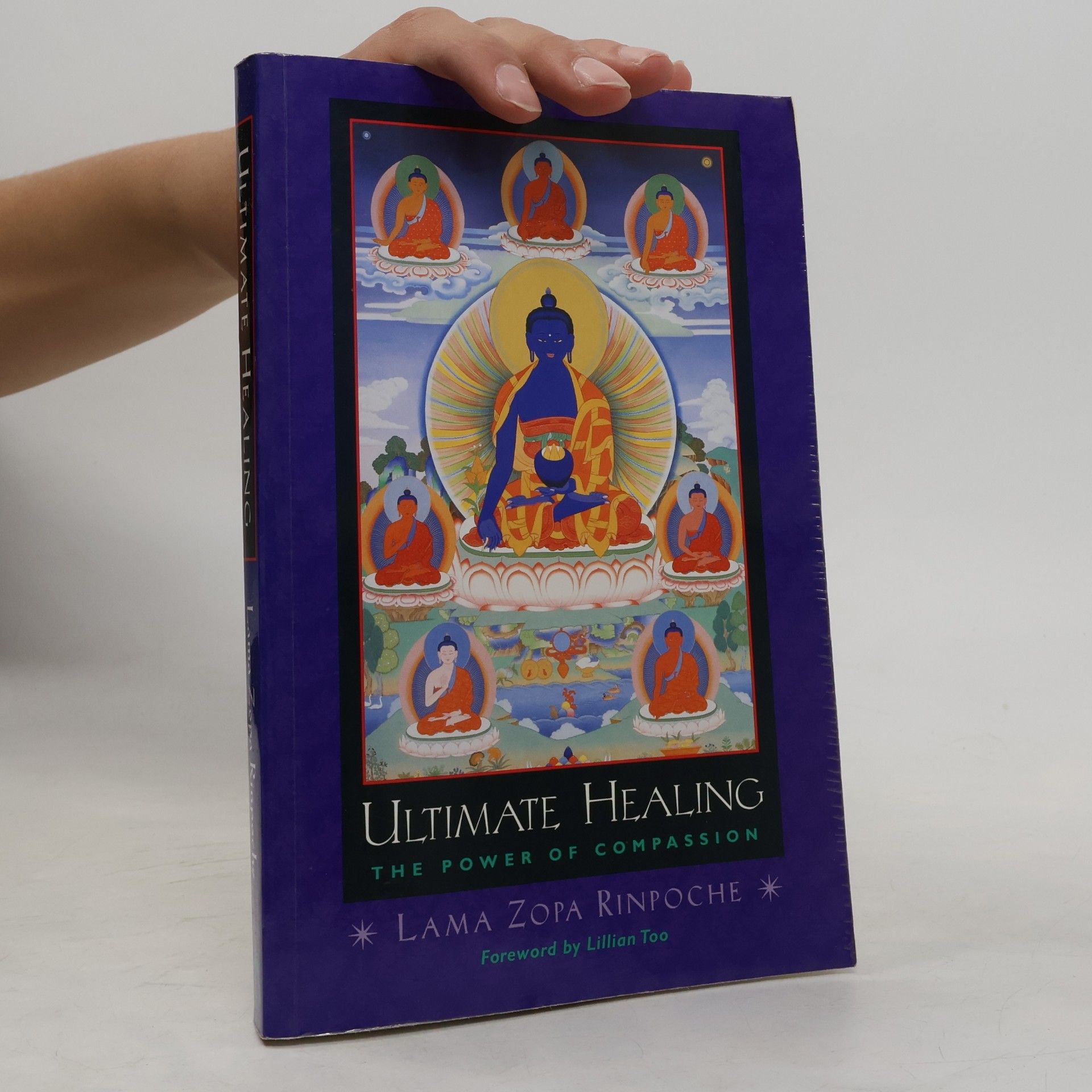 Lama Thubten Zopa Rinpoche Ultimate Healing