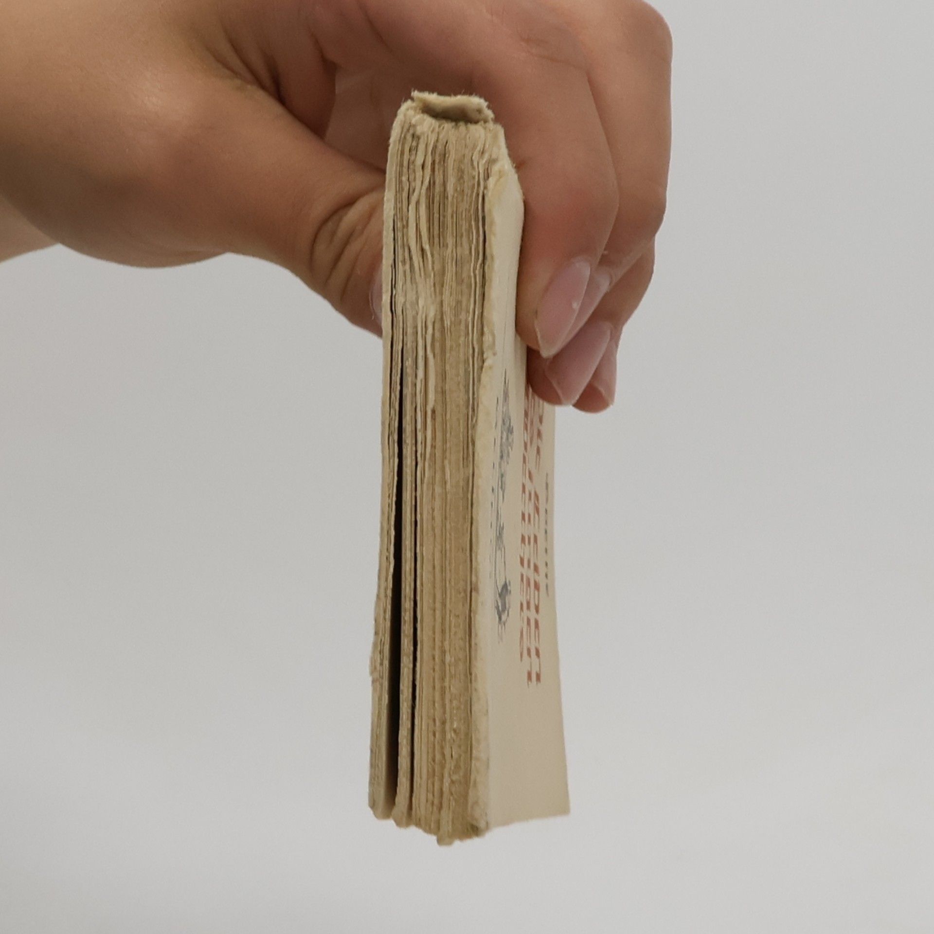 Goethe Die Leiden des jungen Werthers