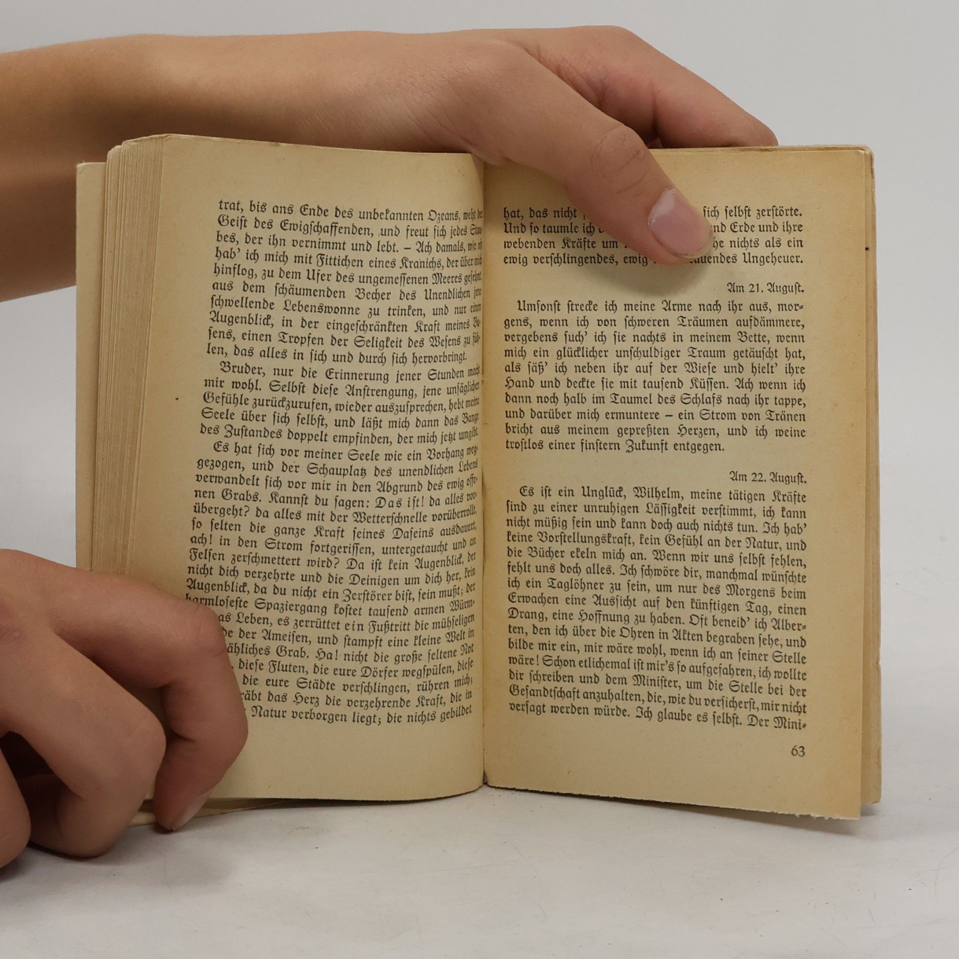 Goethe Die Leiden des jungen Werthers