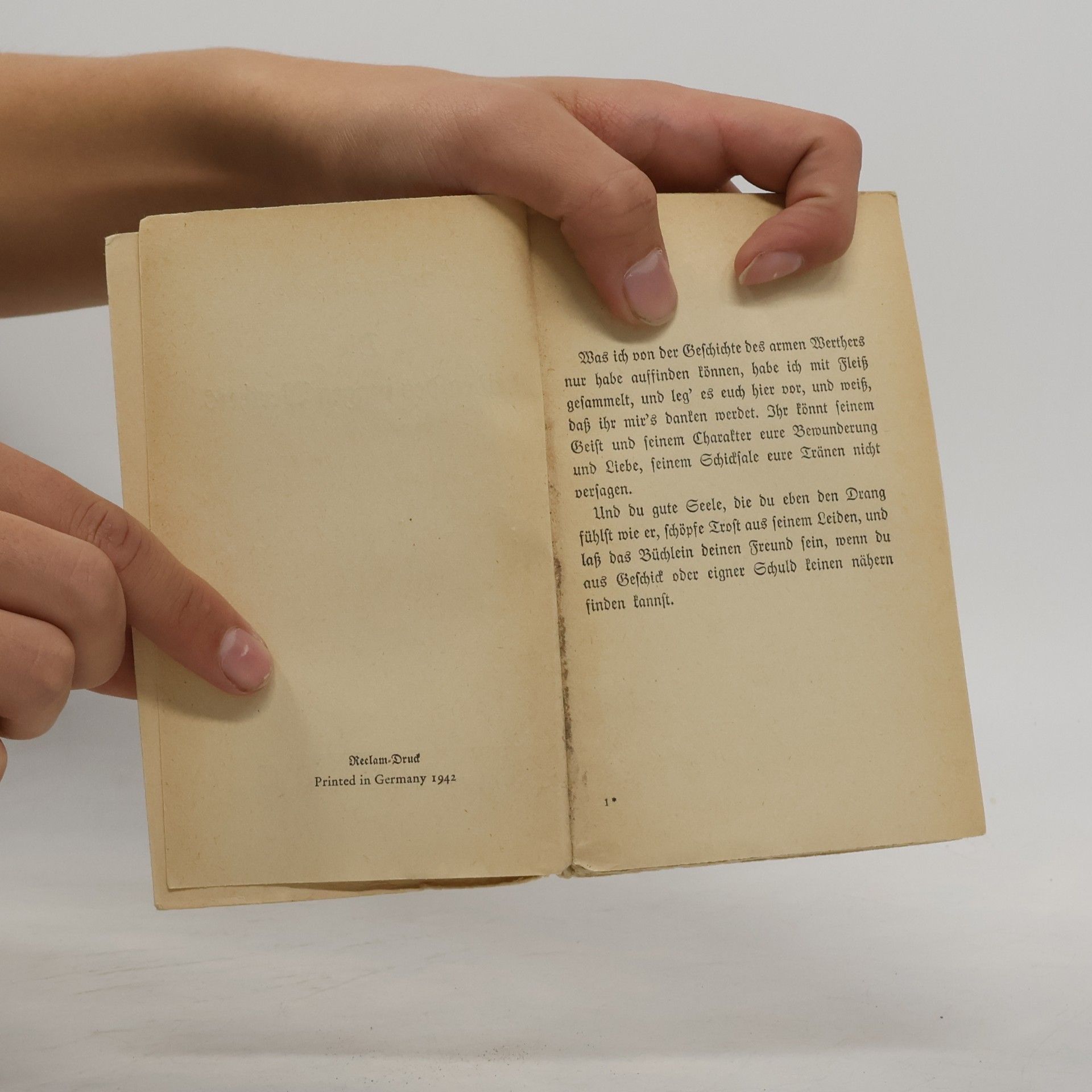 Goethe Die Leiden des jungen Werthers