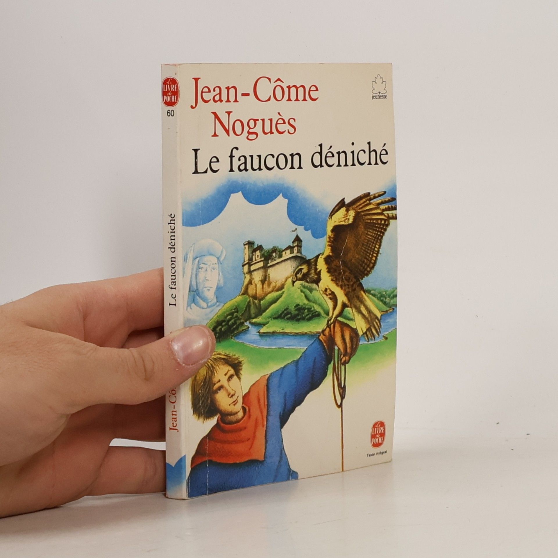 Jean-Côme Noguès Le Faucon déniché