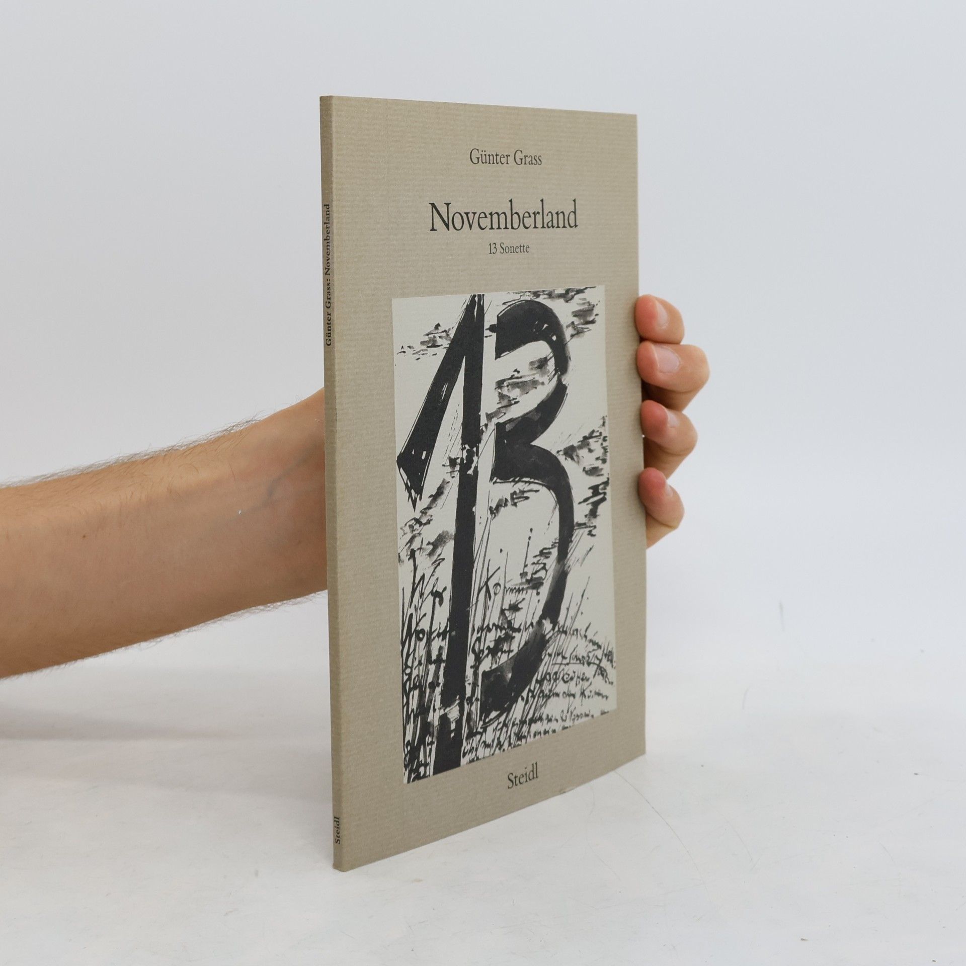 Günter Grass Novemberland