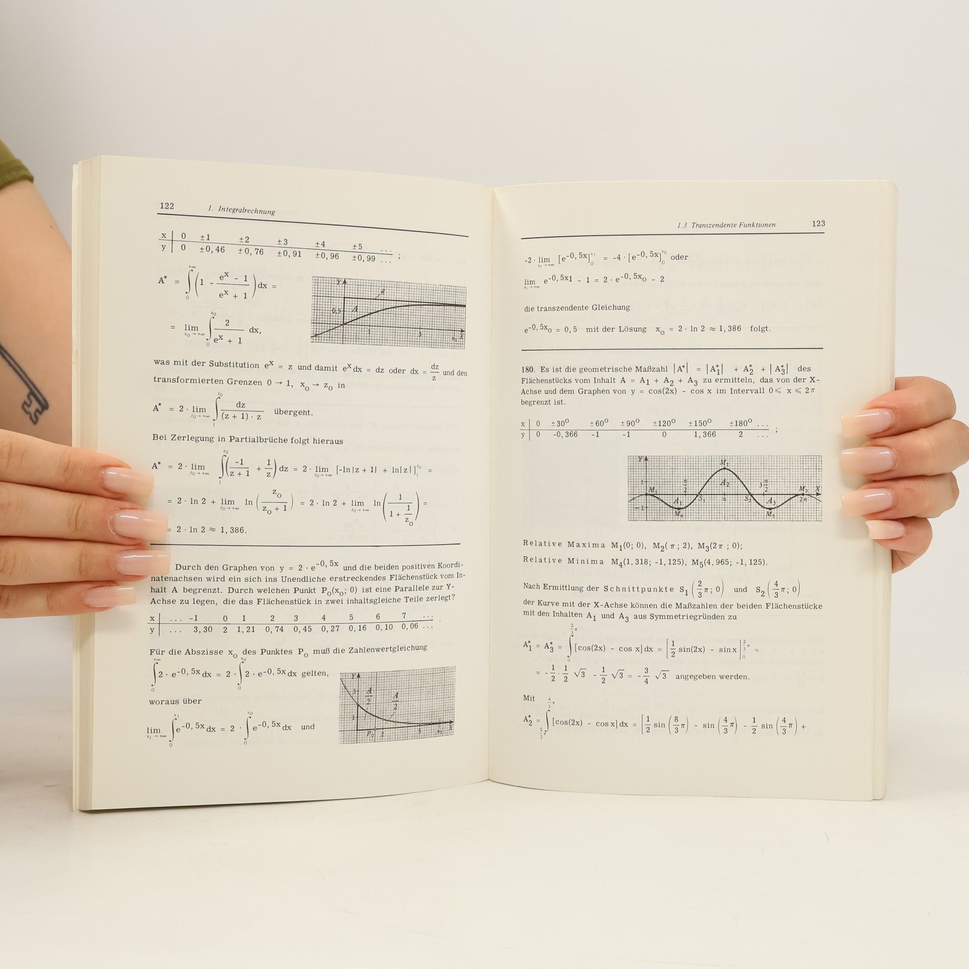 Helmut Wörle Ingenieur-Mathematik in Beispielen