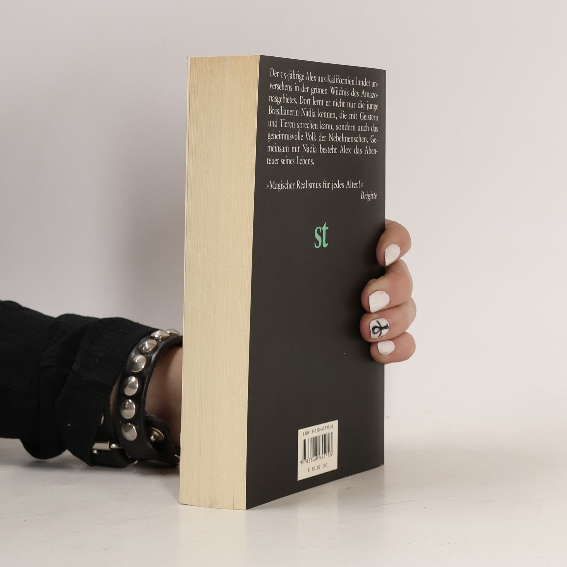 Isabel Allende Die Stadt der wilden Götter