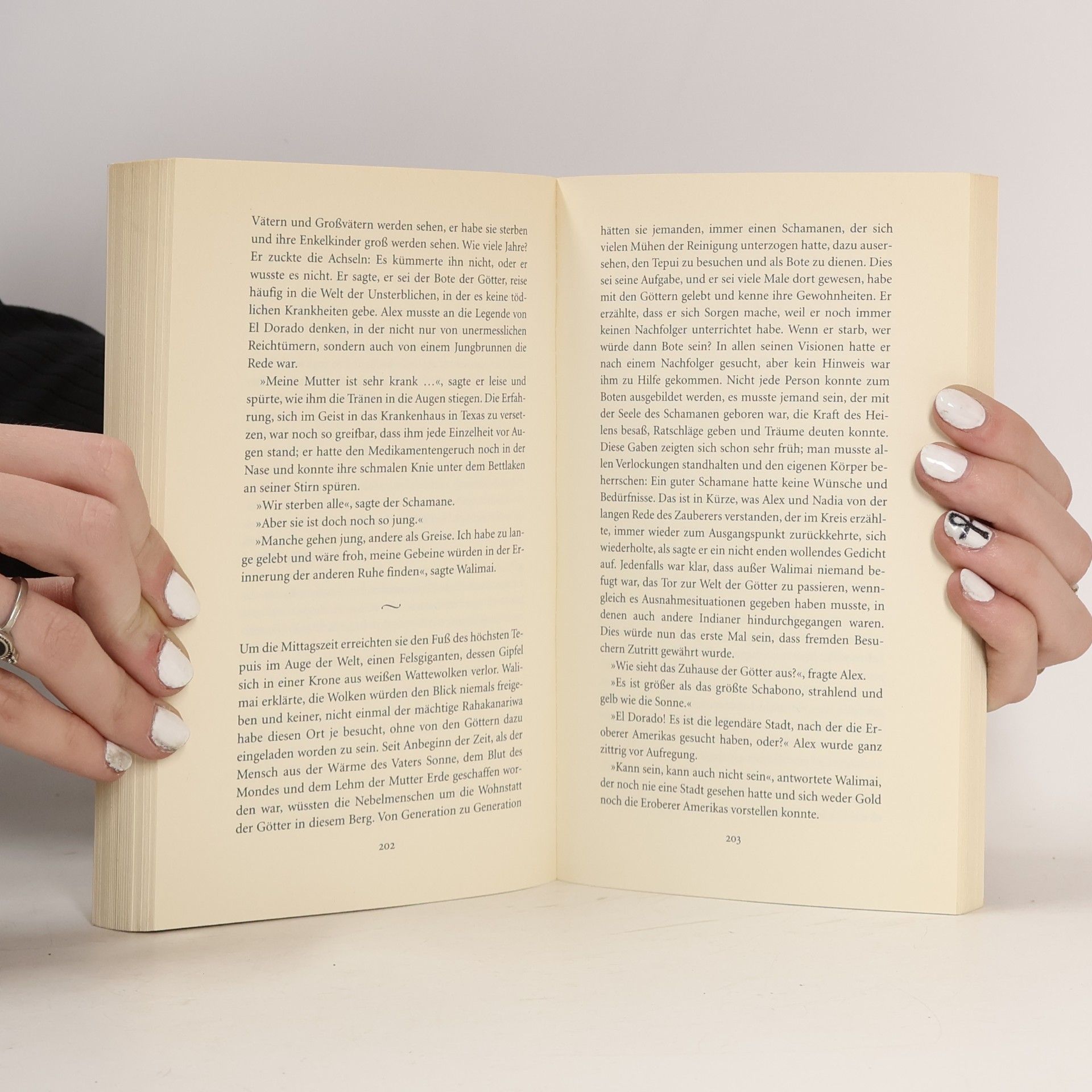 Isabel Allende Die Stadt der wilden Götter