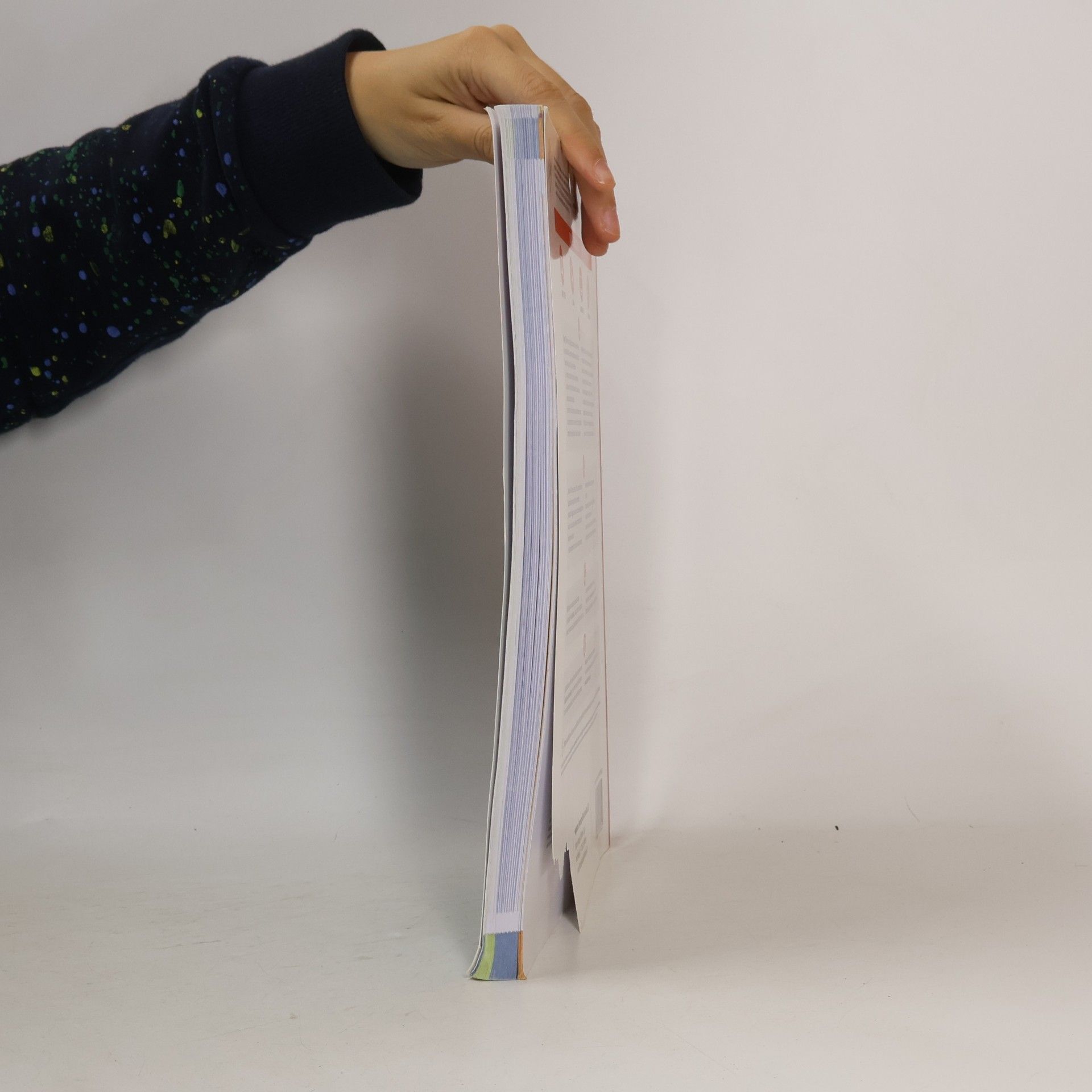 Flavia Lughezzani Clippy T@sk