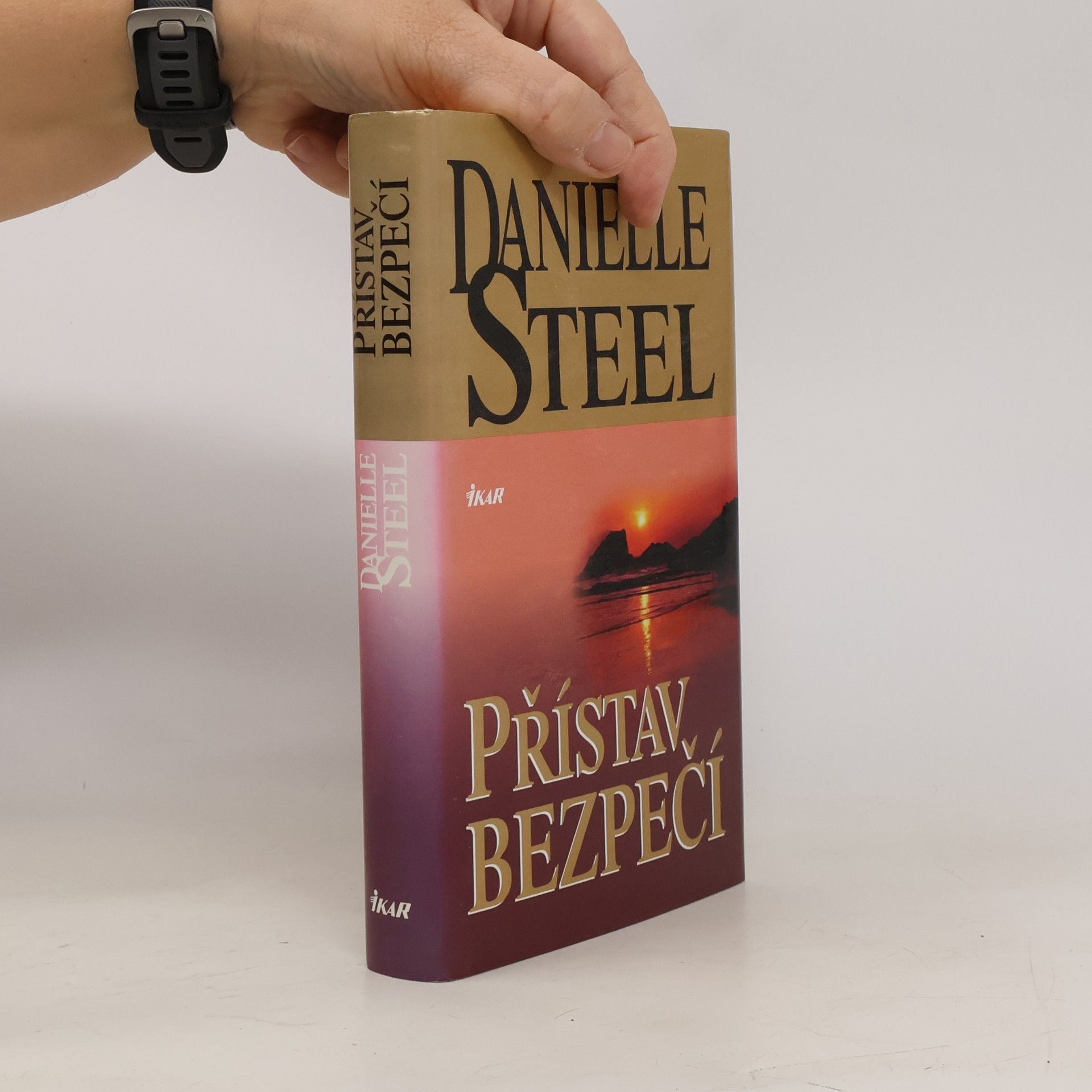 Danielle Steel Přístav bezpečí