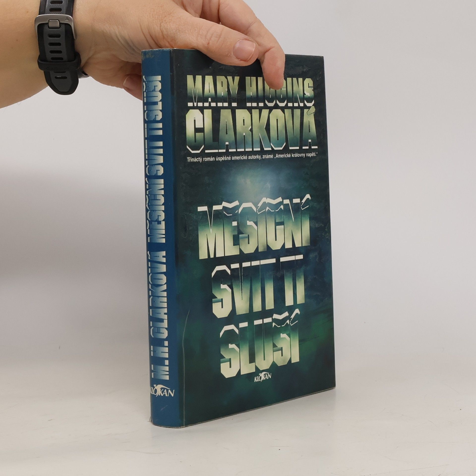 Mary Higginsová Clarková Měsíční svit ti sluší