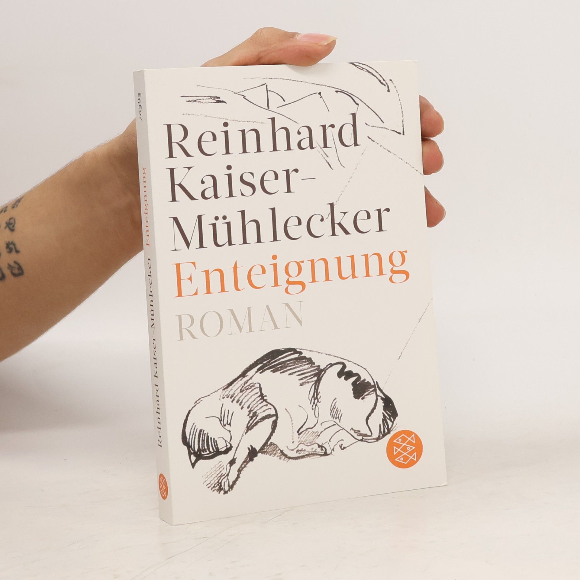 Enteignung