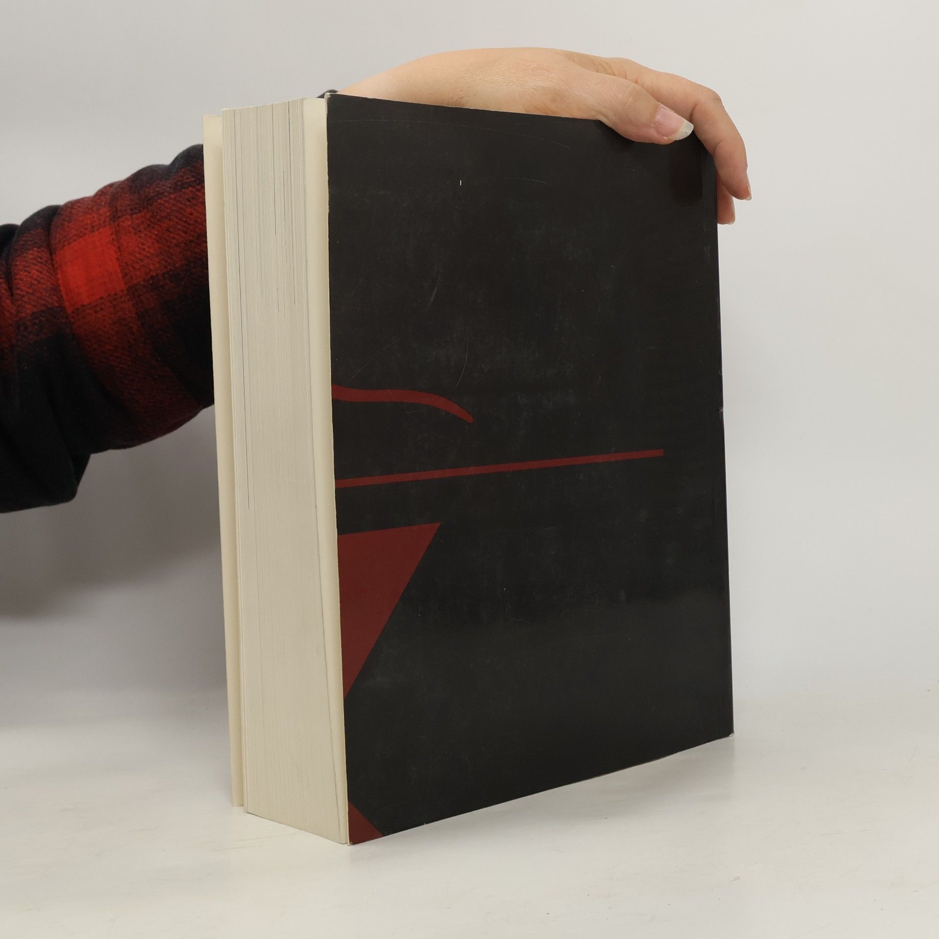 Gottfried Stangler Kunst des Heilens