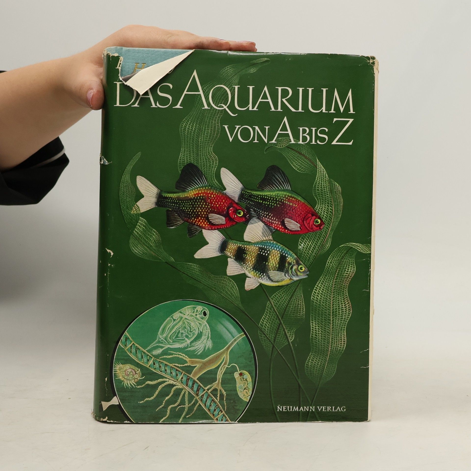 Hans-Jost Frey Das Aquarium von A bis Z