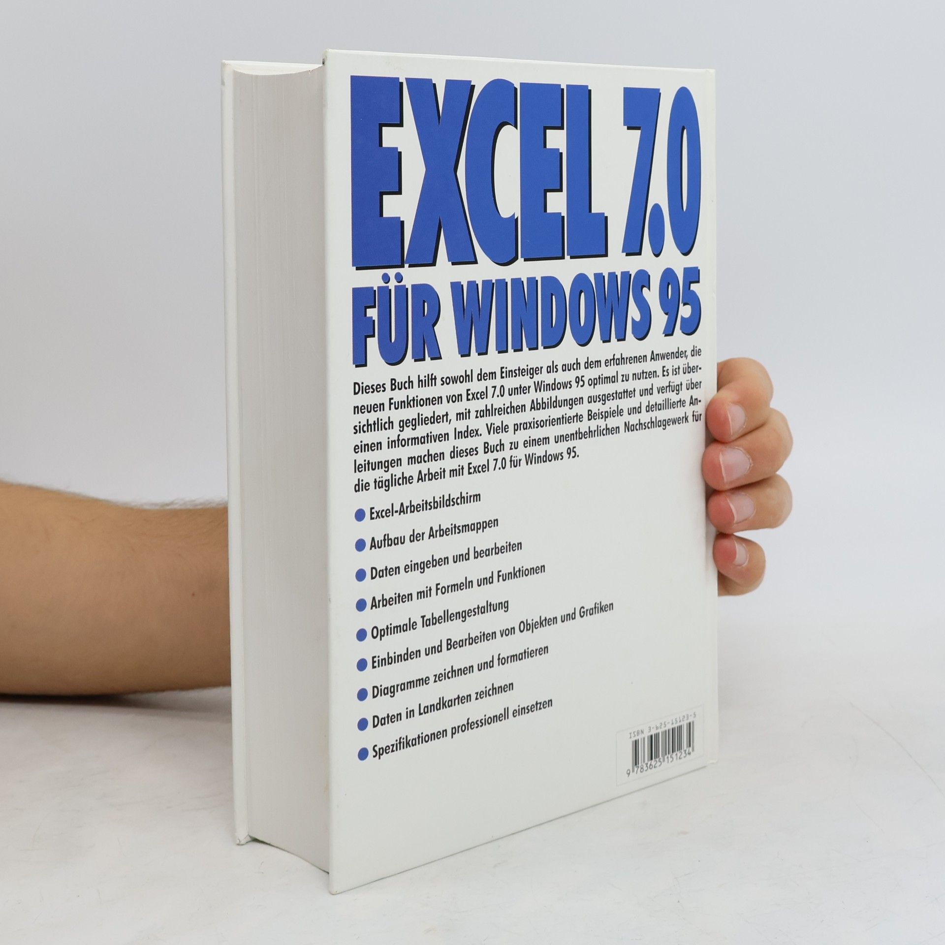 Michel Arte Excel 7.0 für Windows 95