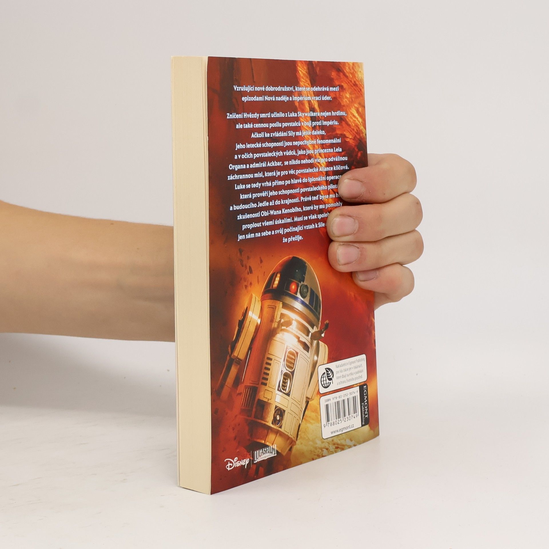 Kevin Hearne Star wars. Dědic rytířů Jedi