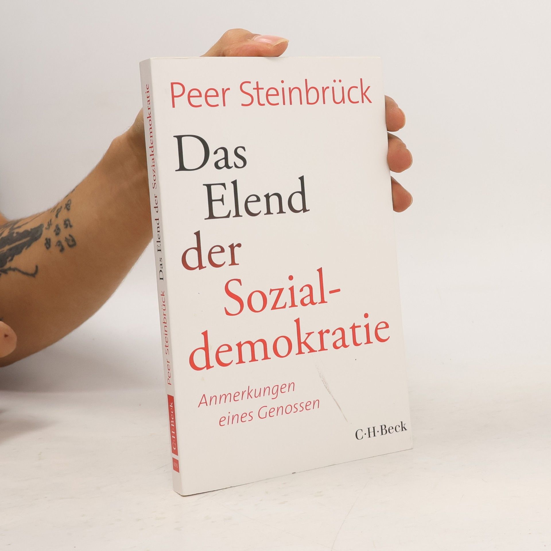 Peer Steinbrück Das Elend der Sozialdemokratie