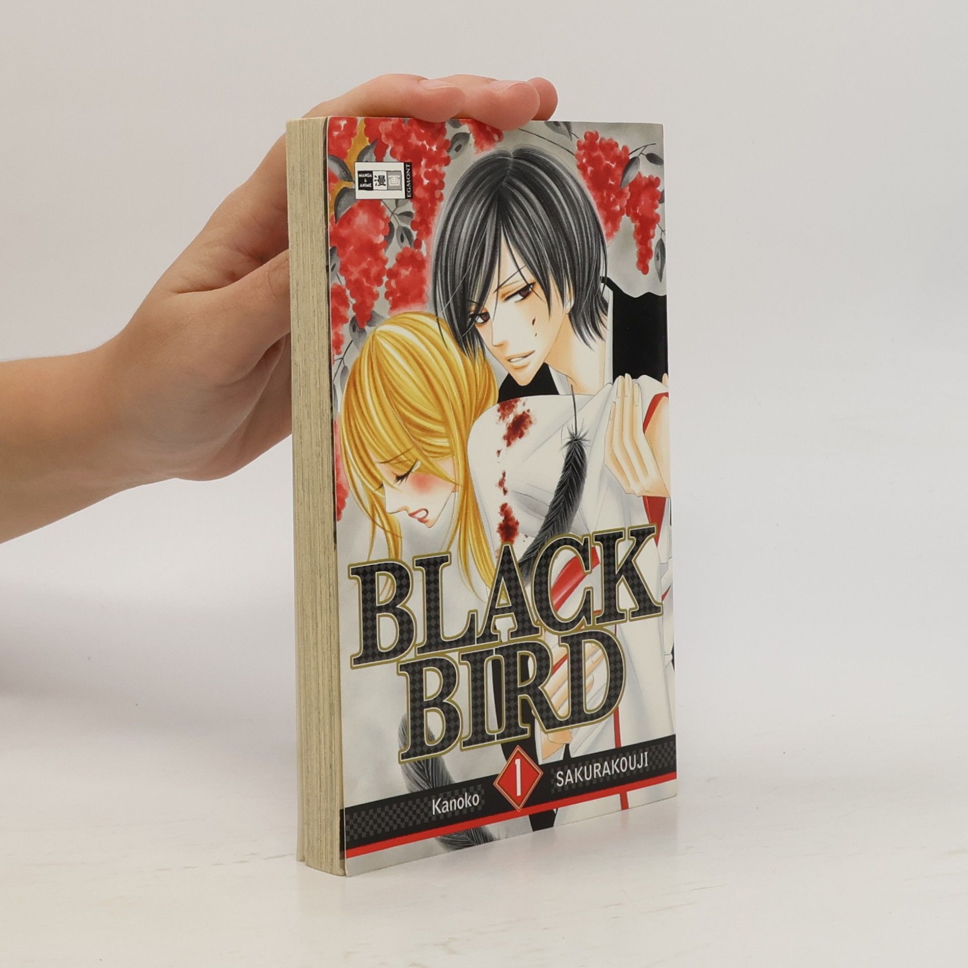 Kanoko Sakurakoji Black Bird 1