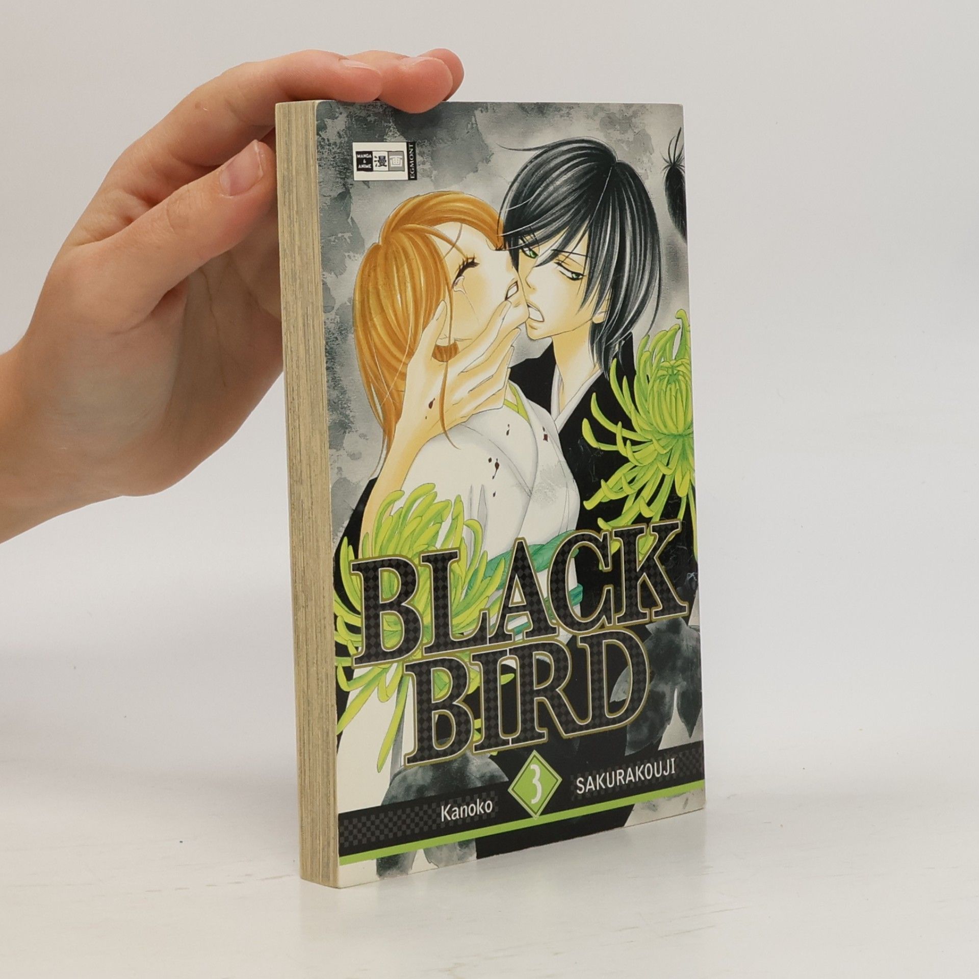 Kanoko Sakurakoji Black bird 3