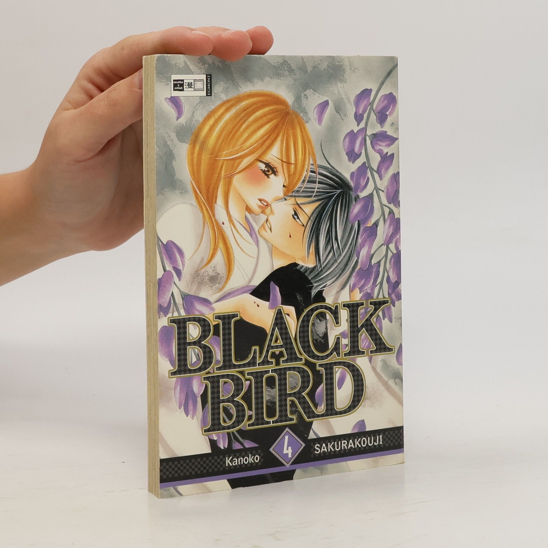 Kanoko Sakurakoji Black bird 4