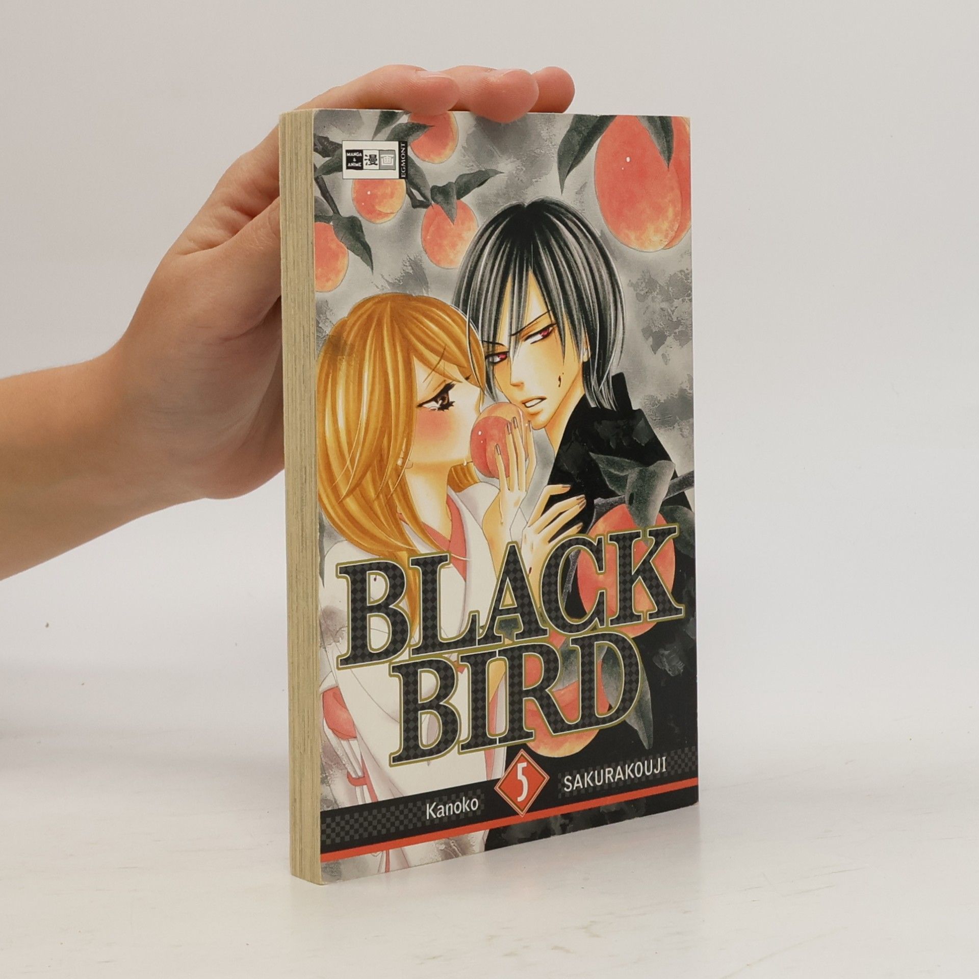 Kanoko Sakurakoji Black bird 5