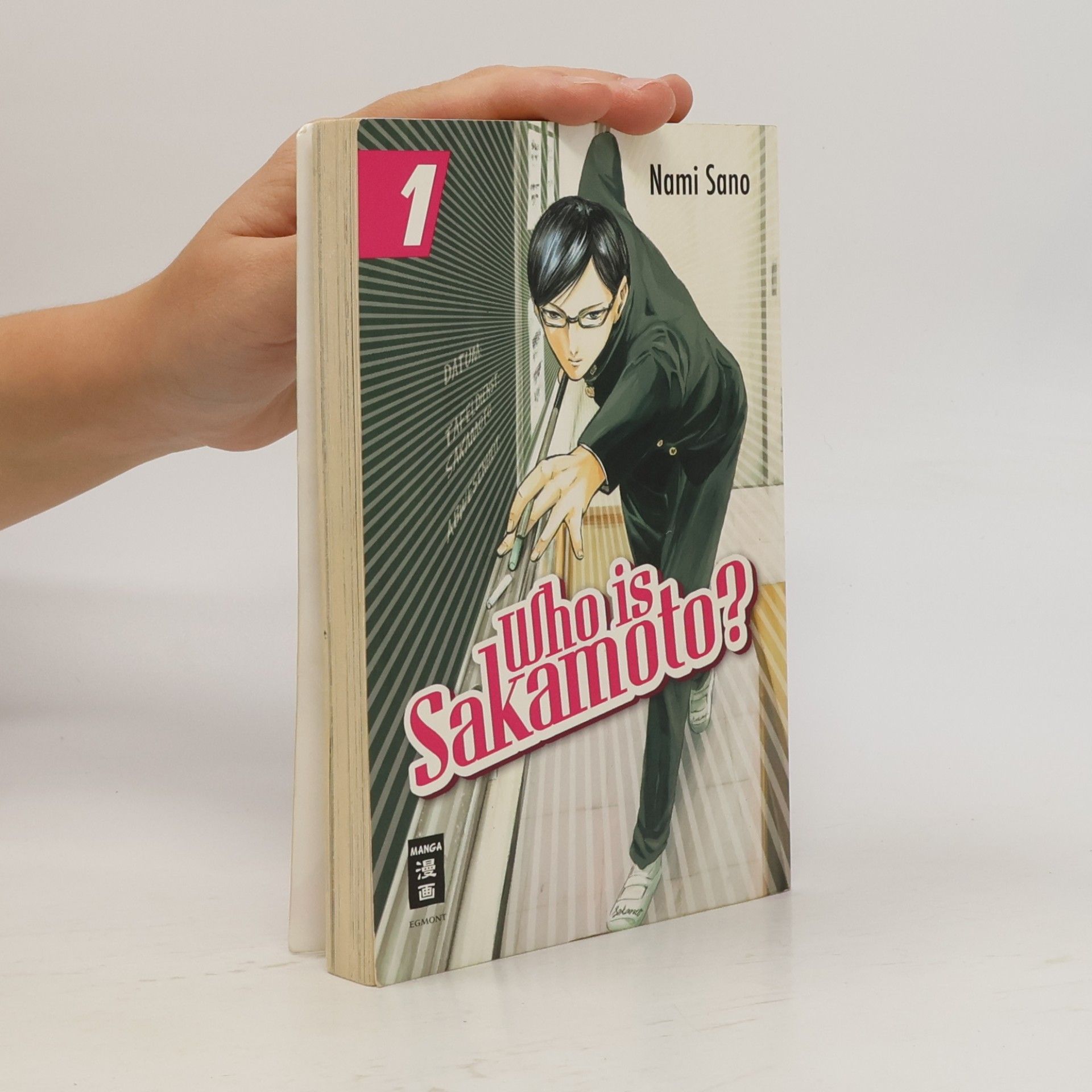 Nami Sano Who is Sakamoto?