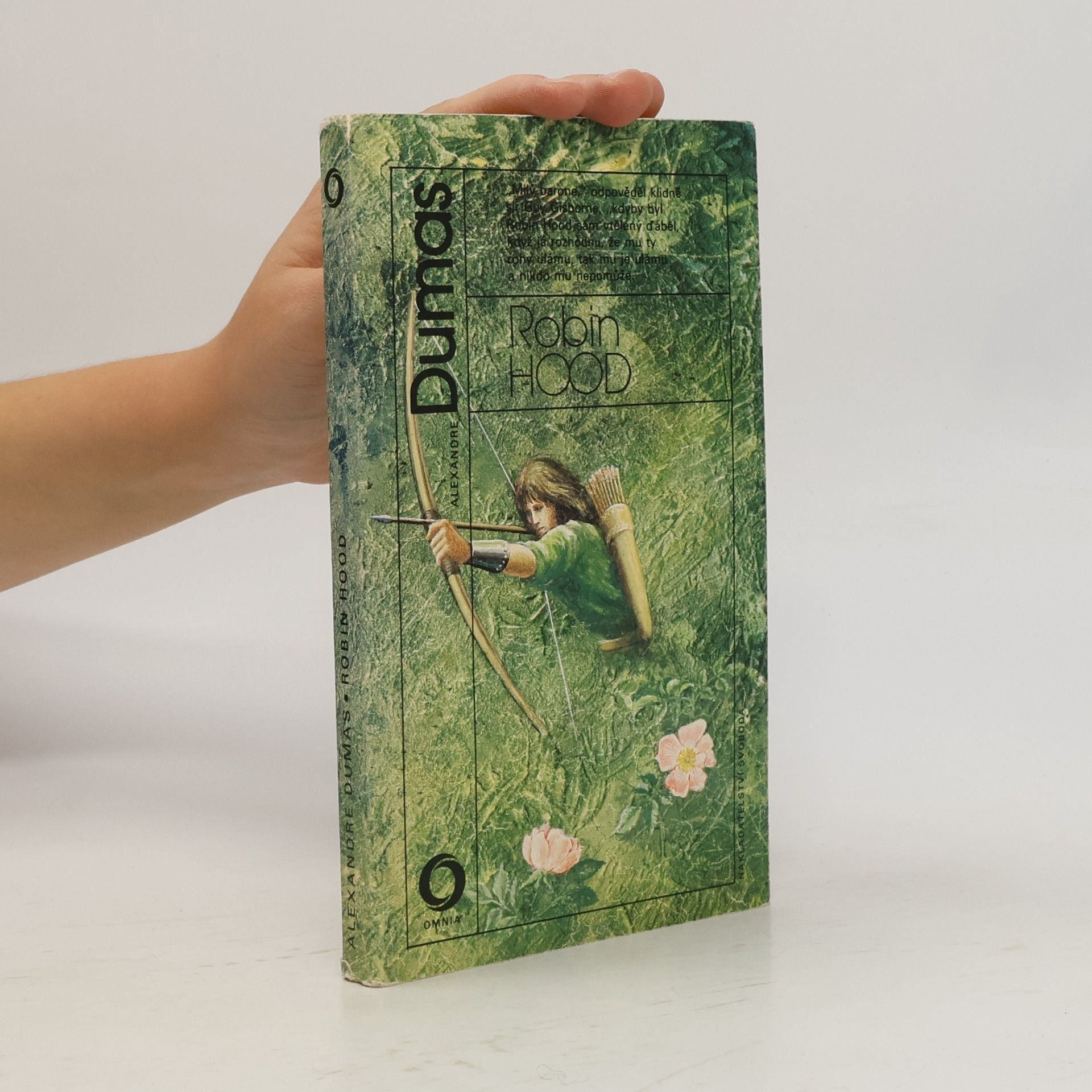 Alexandre Dumas der Ältere Robin Hood