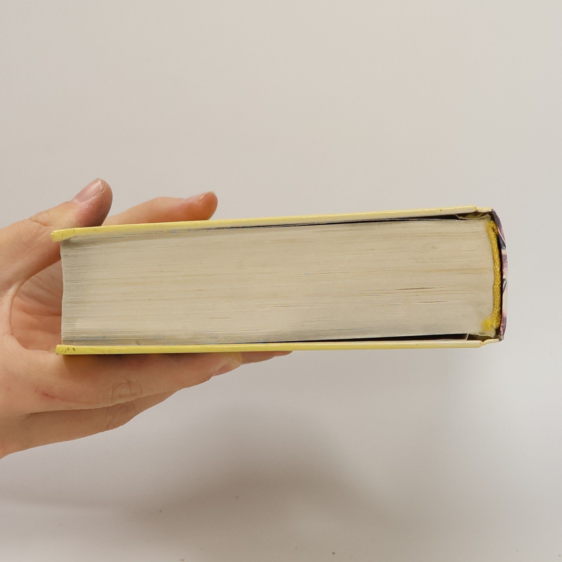 Jane Roberts Gespräche mit Seth