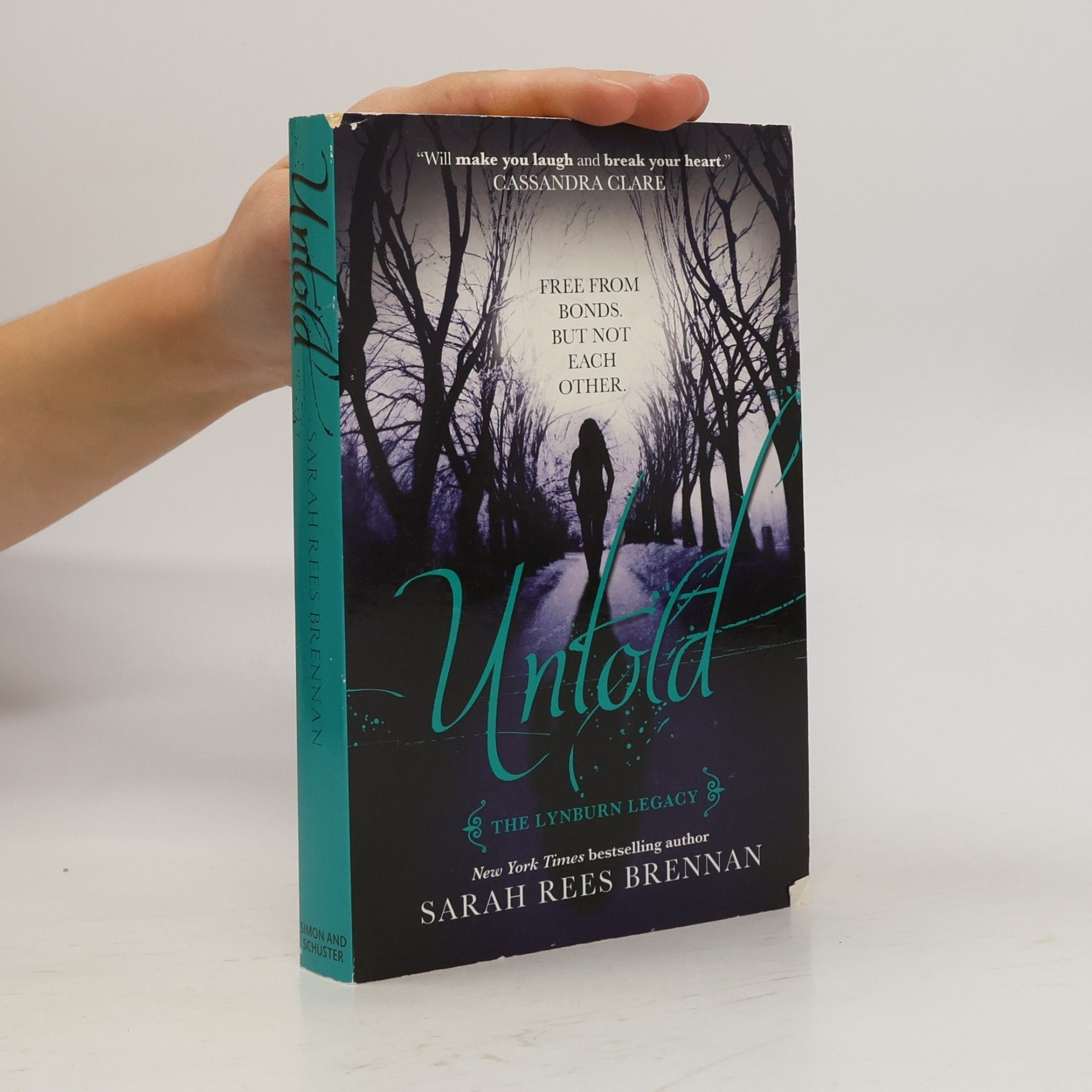 Sarah Rees Brennan Untold