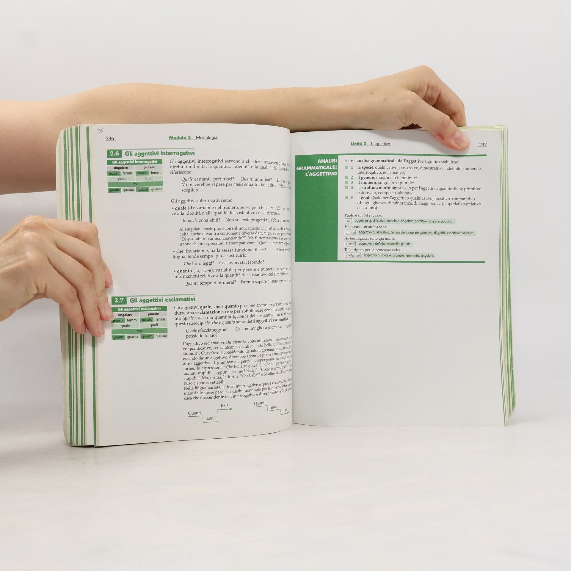 Marcello Sensini Lo spazio linguistico. Modulo A-B. La riflessione sulla lingua-La pratica testuale. Per le Scuole superiori