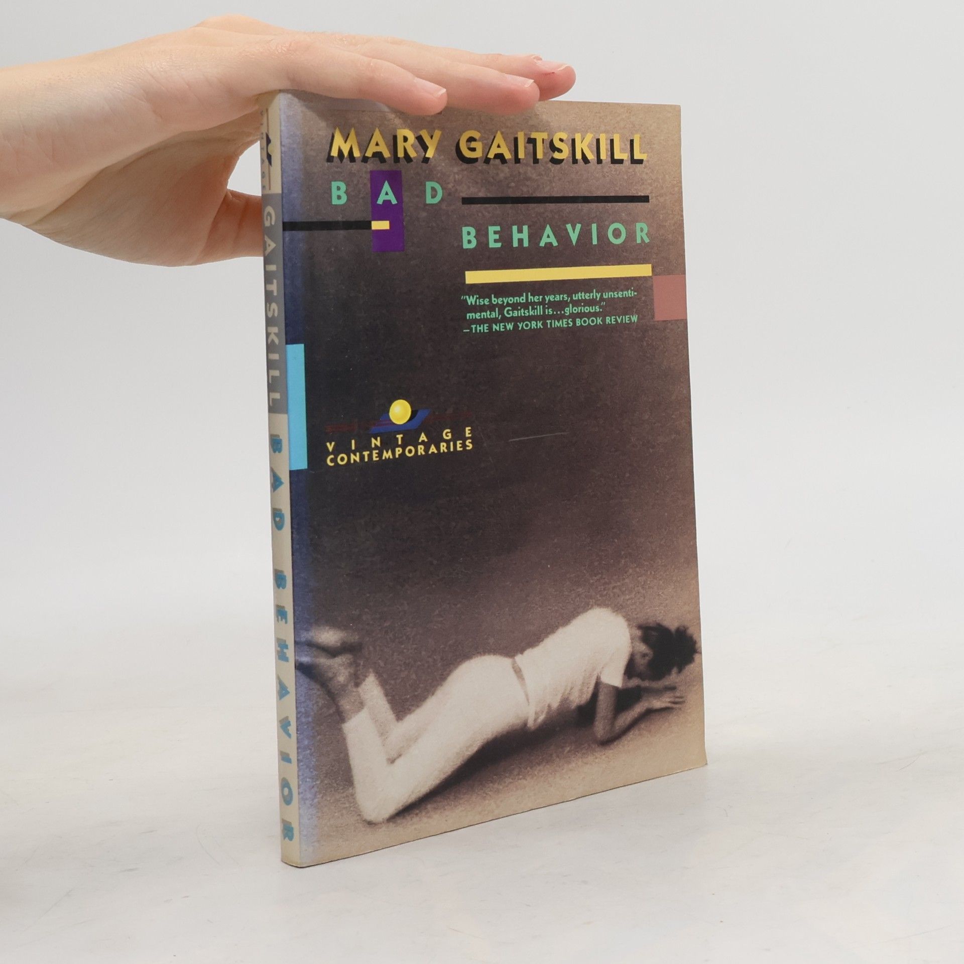 Mary Gaitskill Bad Behavior