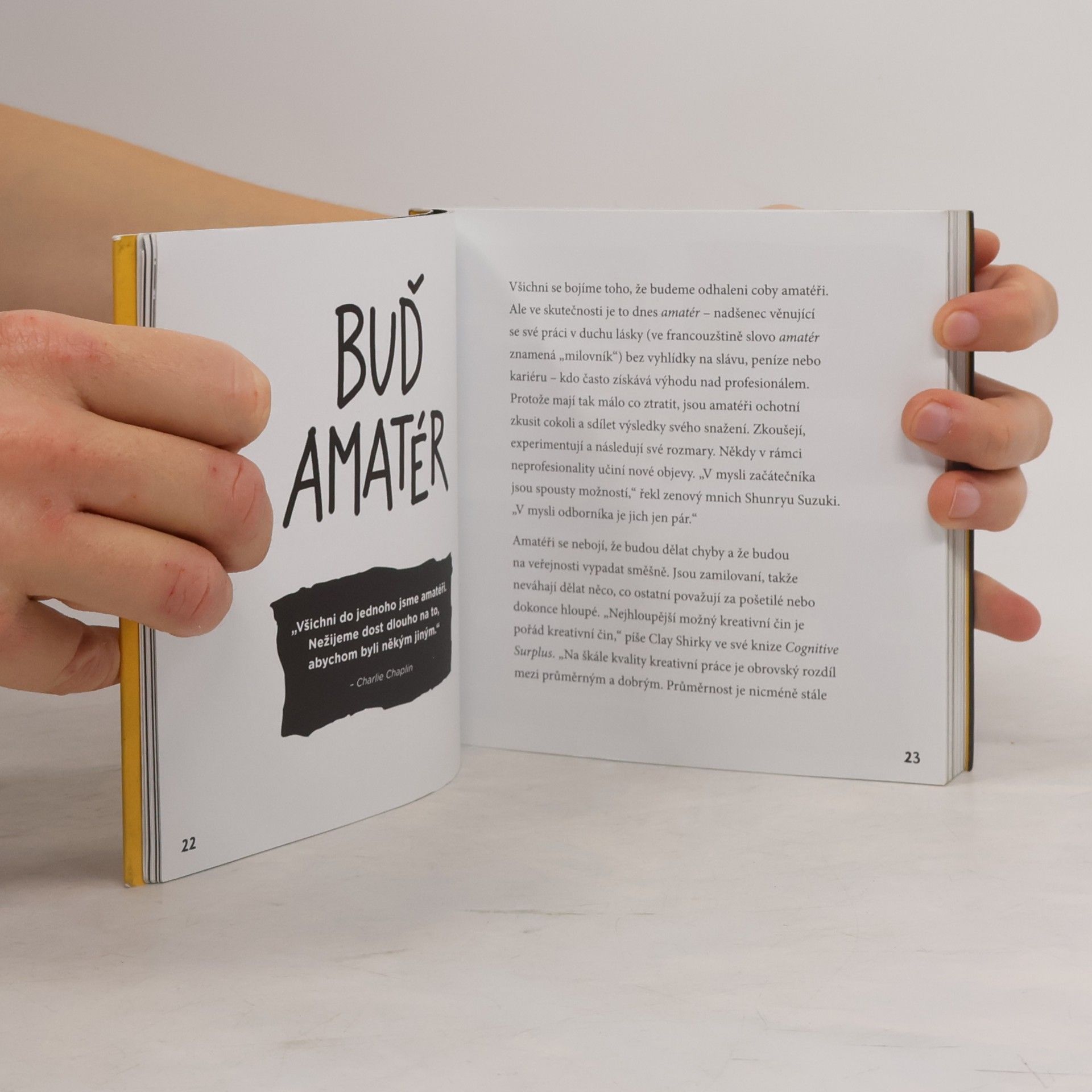 Austin Kleon Ukaž, co děláš! 10 způsobů, jak sdílet svou kreativitu a nechat se objevit