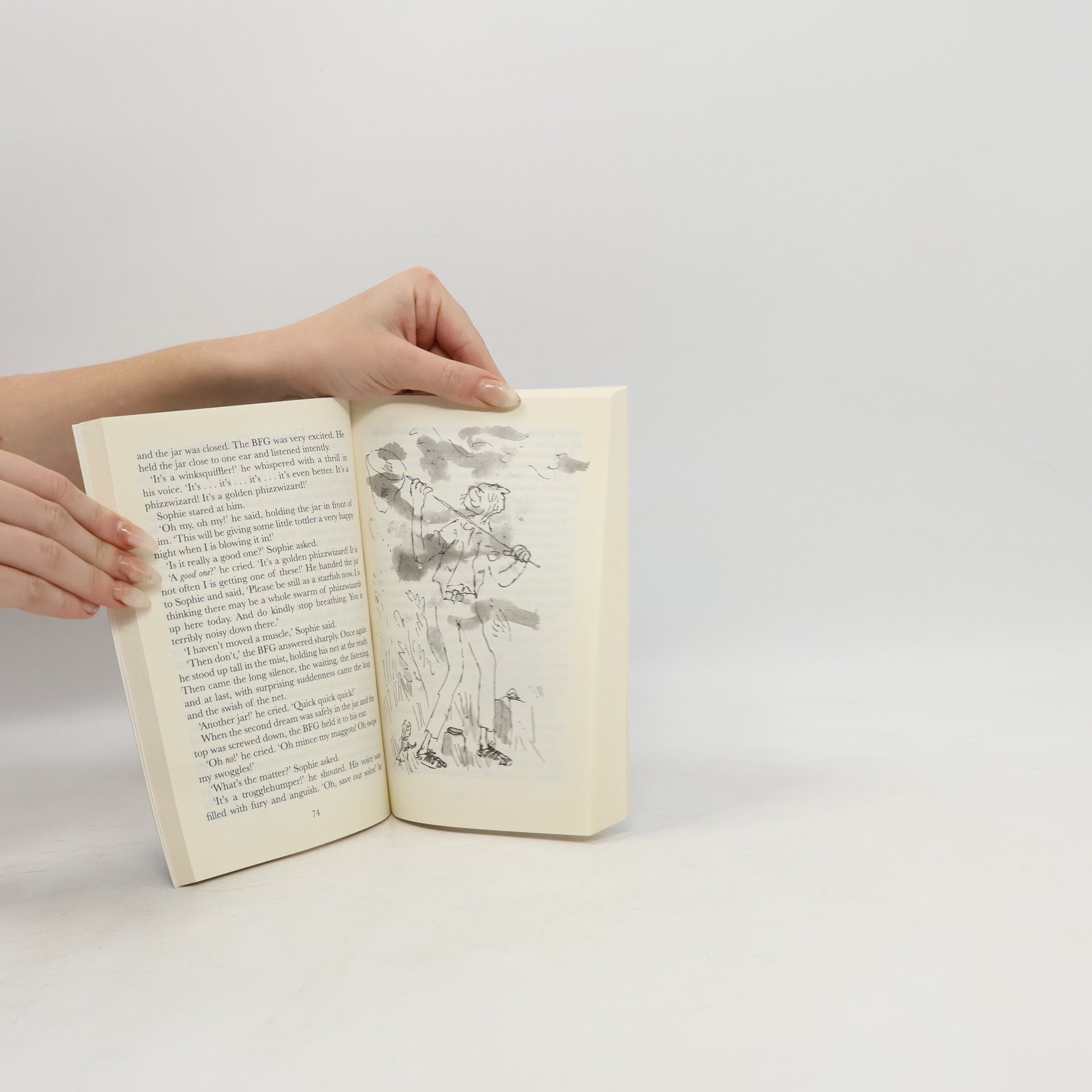 Roald Dahl The BFG