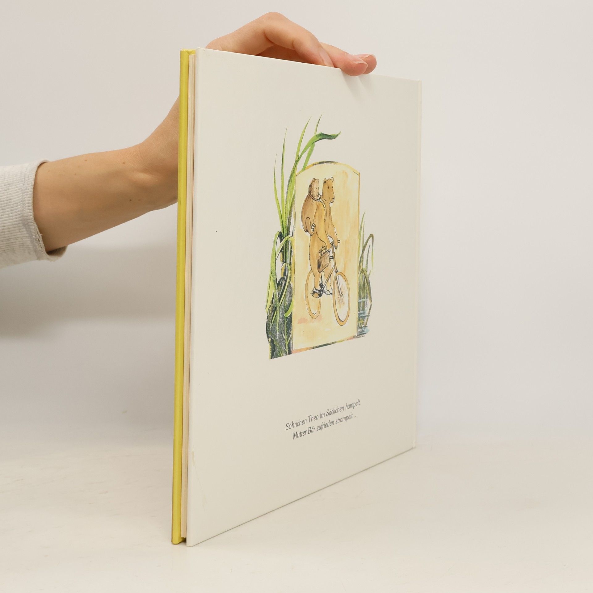 Autorenkollektiv Leben und Abenteuer des Theo-Tatz
