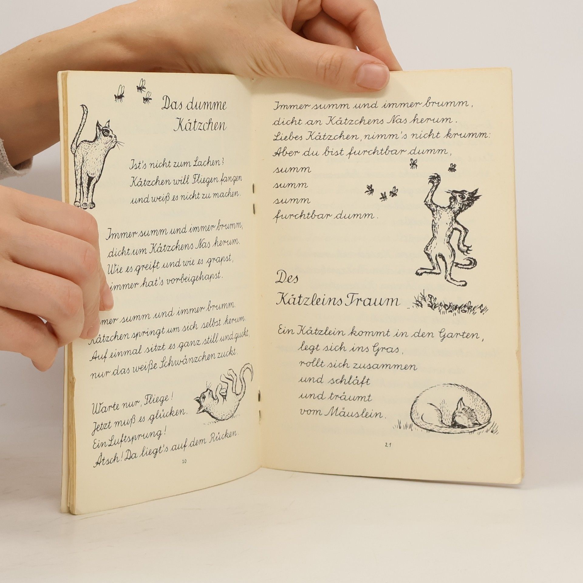 Wilhelm Straub Vom kleinen Frosch mit dem großen Maul