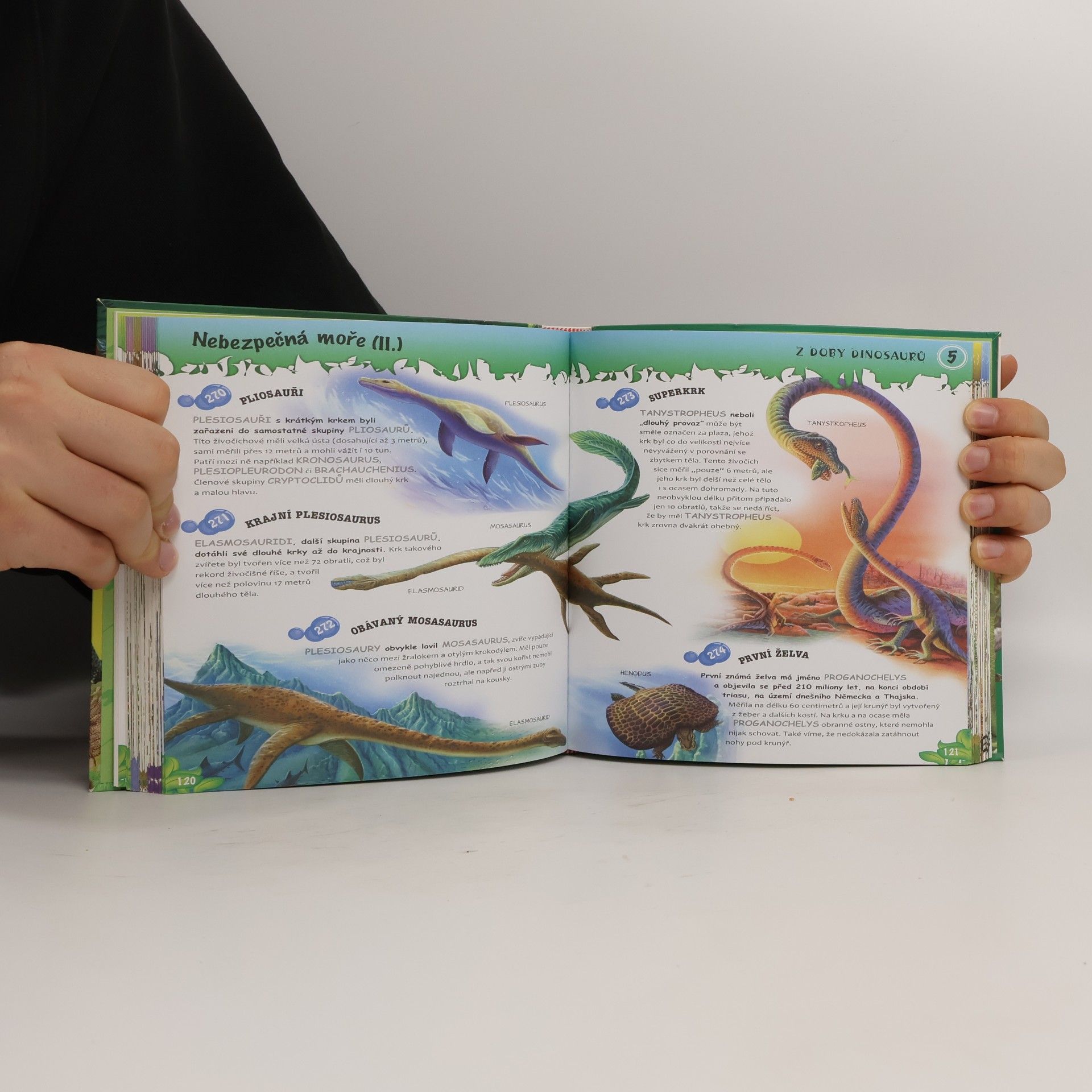 Autorenkollektiv Dinosauři - 501 otázek a odpovědí