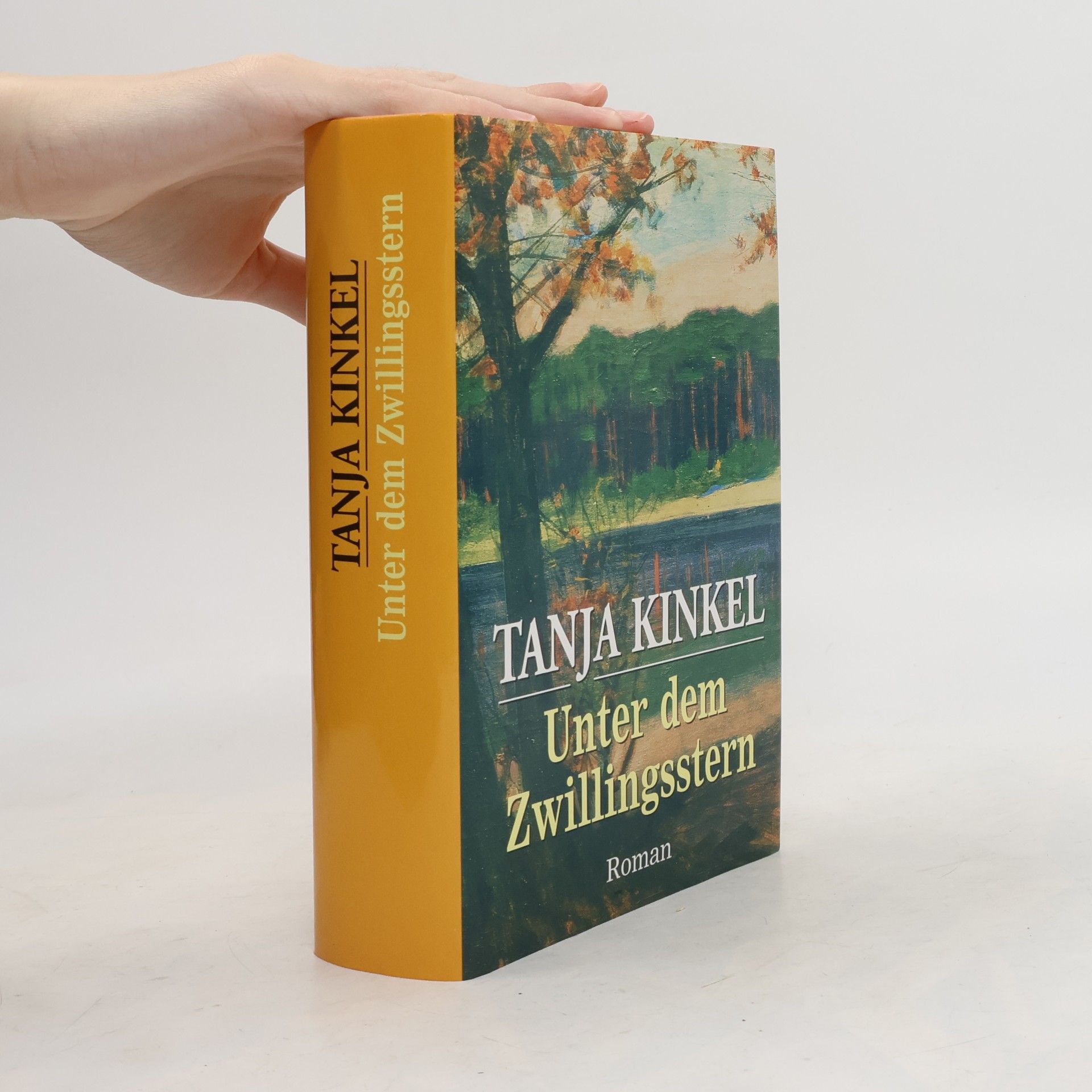 Tanja Kinkel Unter dem Zwillingsstern