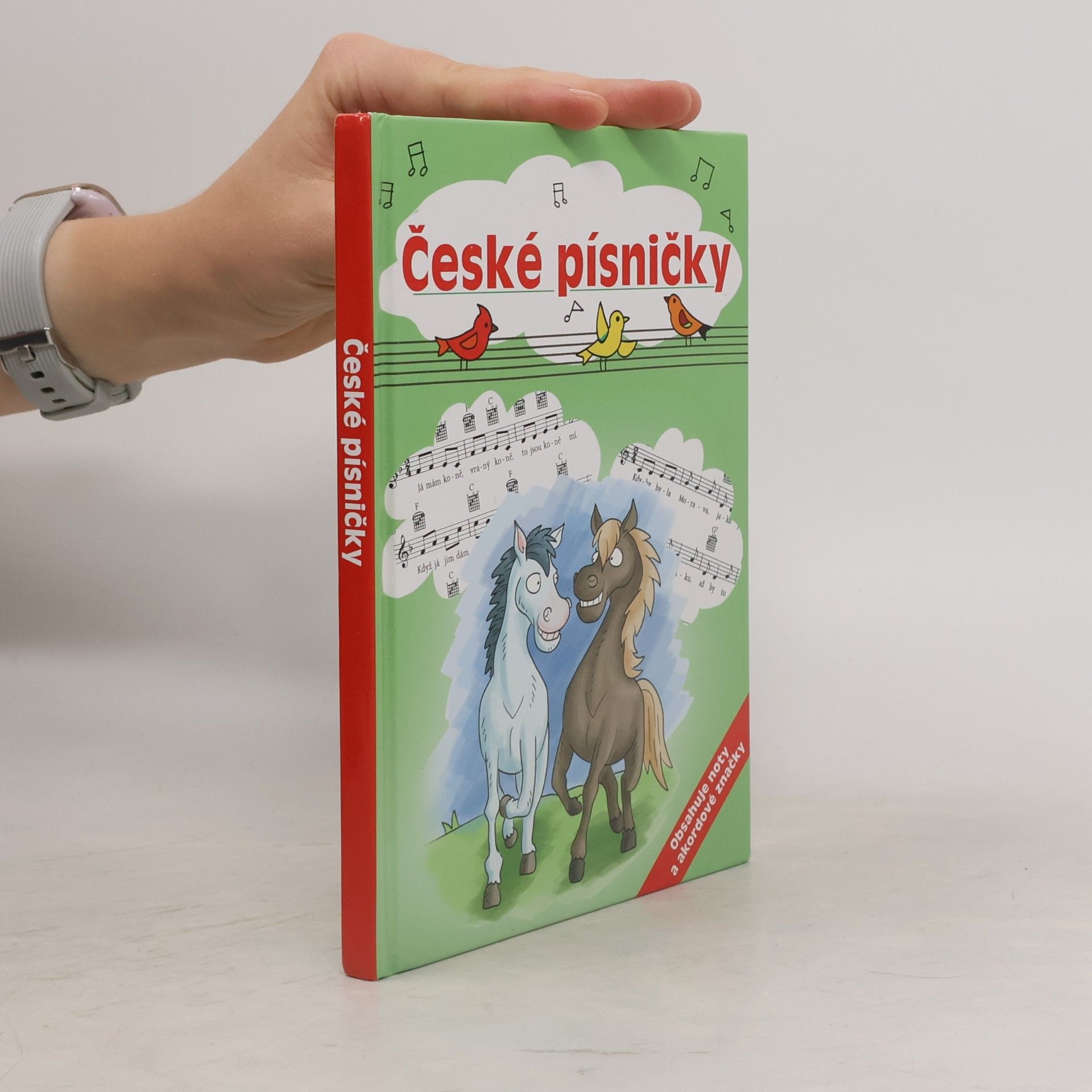 Dita Křišťanová České písničky