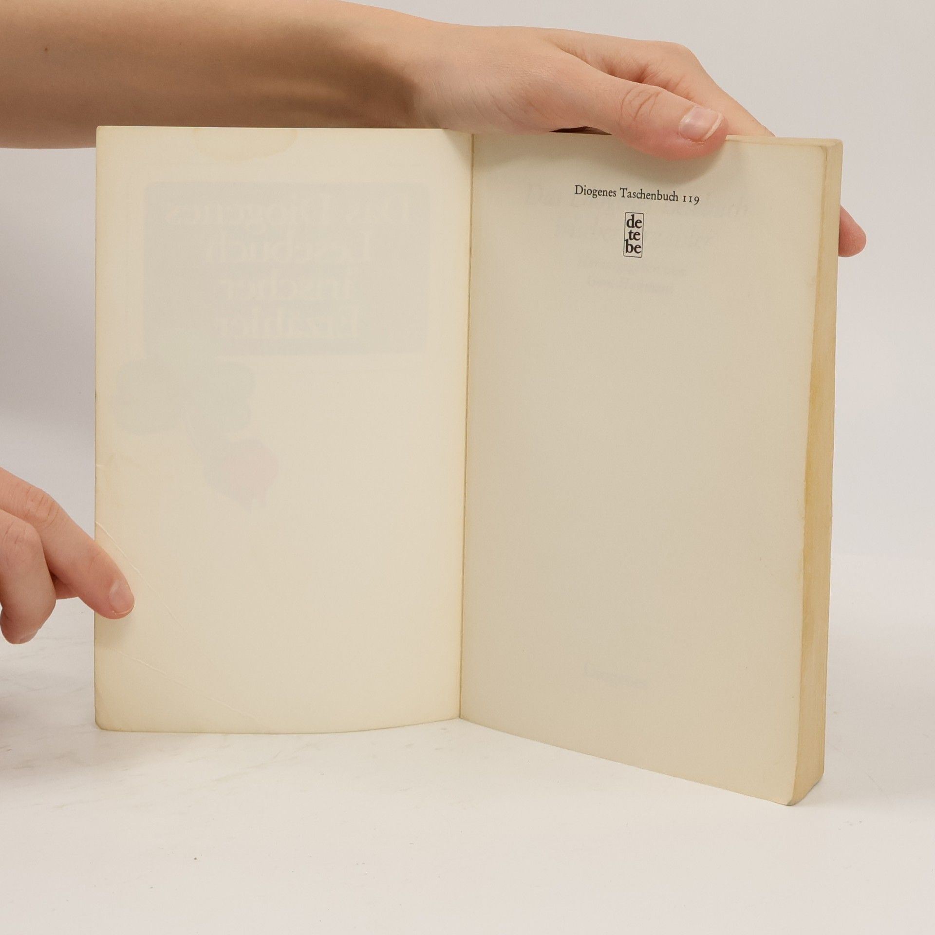 Gerd Haffmans Das Diogenes Lesebuch irischer Erzähler