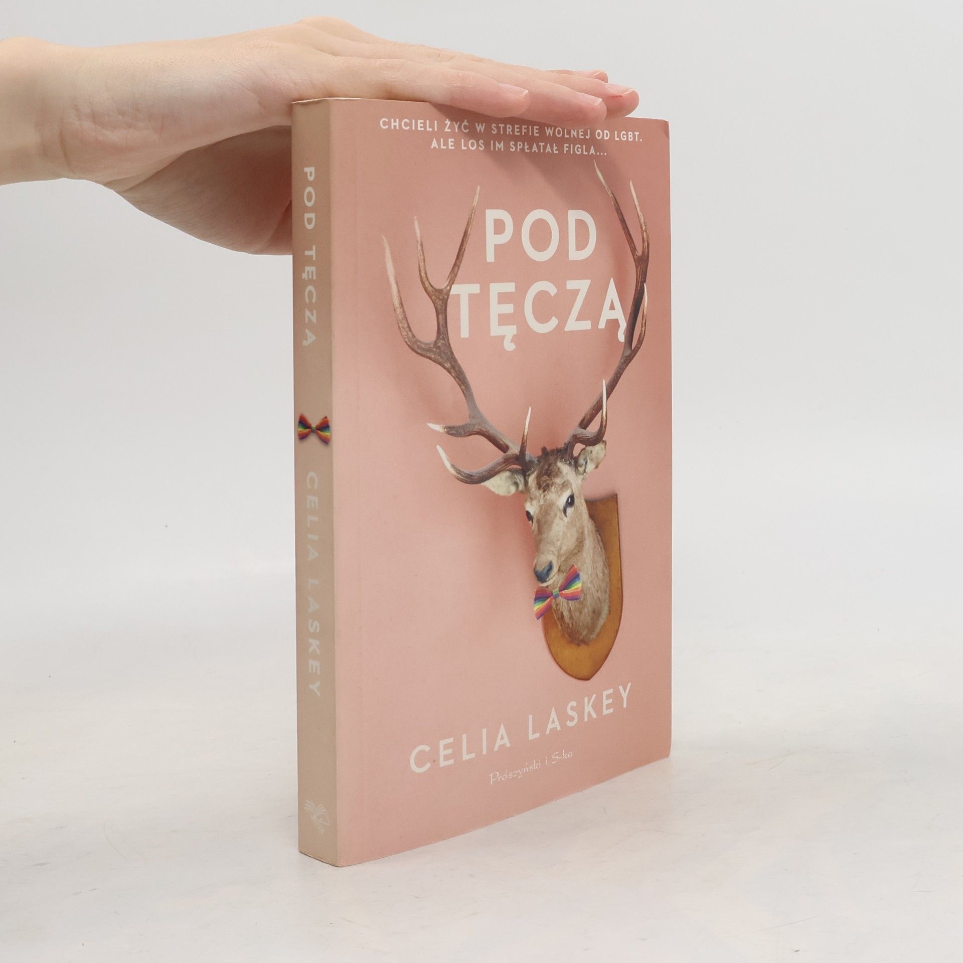 Celia Laskey Pod tęczą