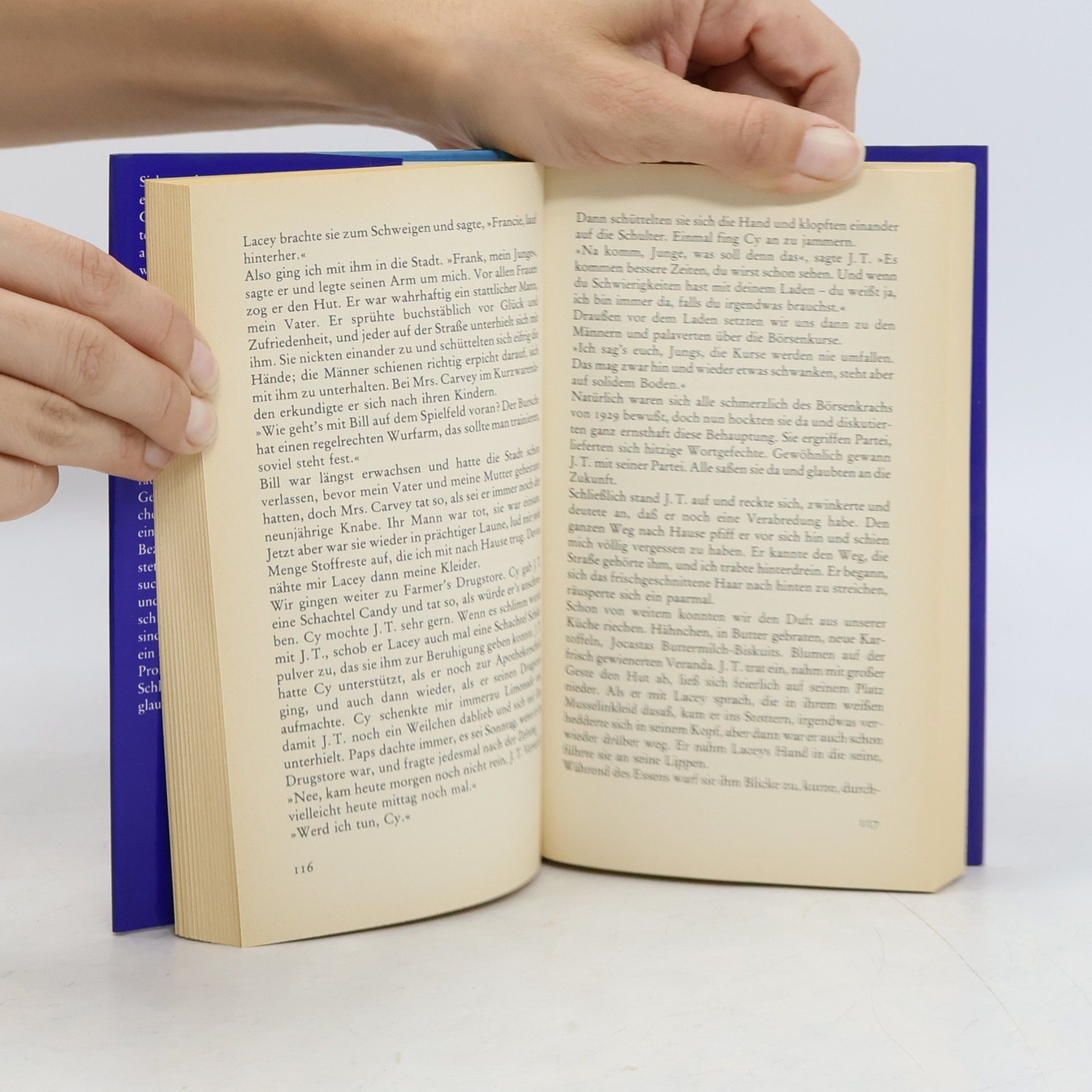 Jayne Anne Phillips Das himmlische Tier. Short-Stories