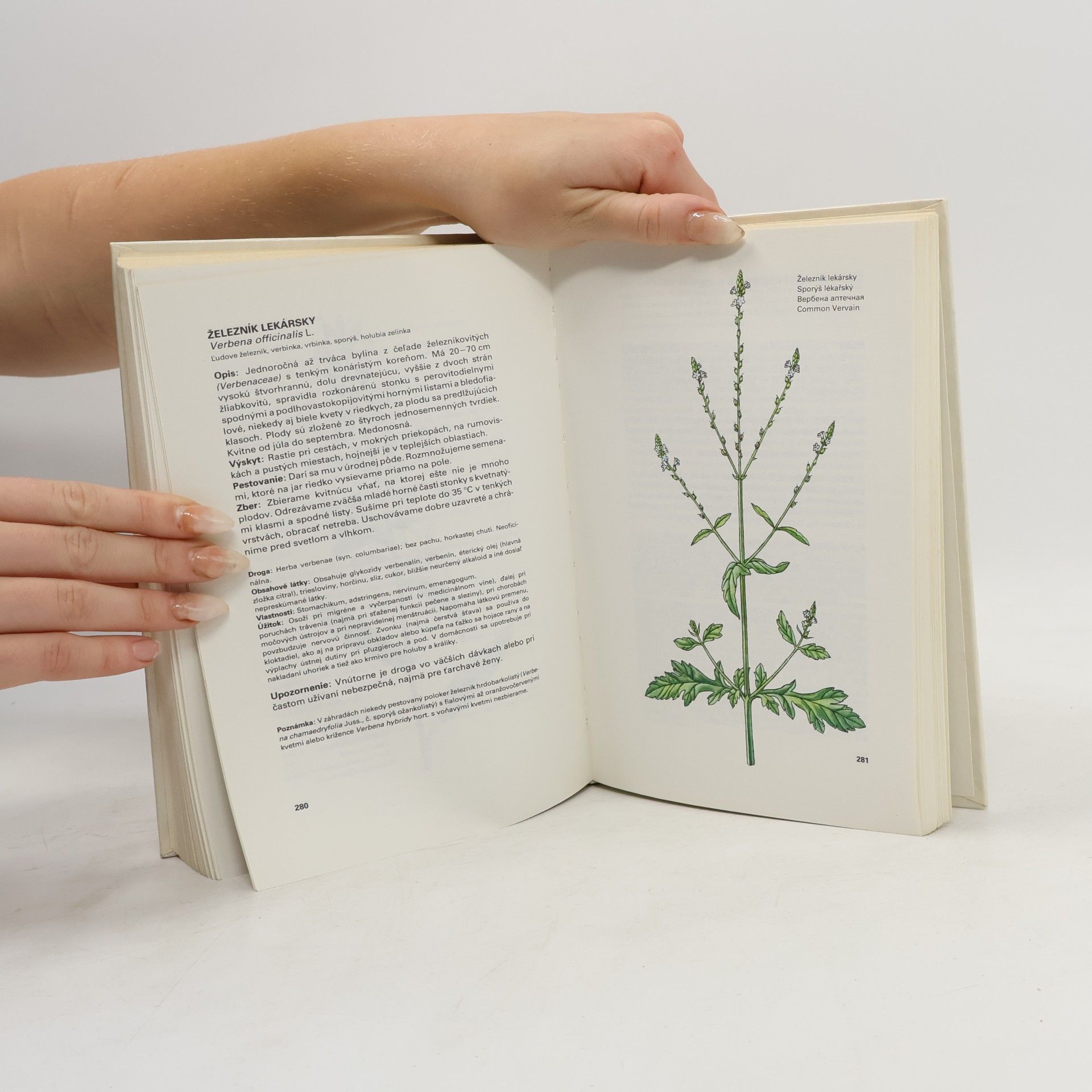 Ludmila Thurzová Malý atlas liečivých rastlín