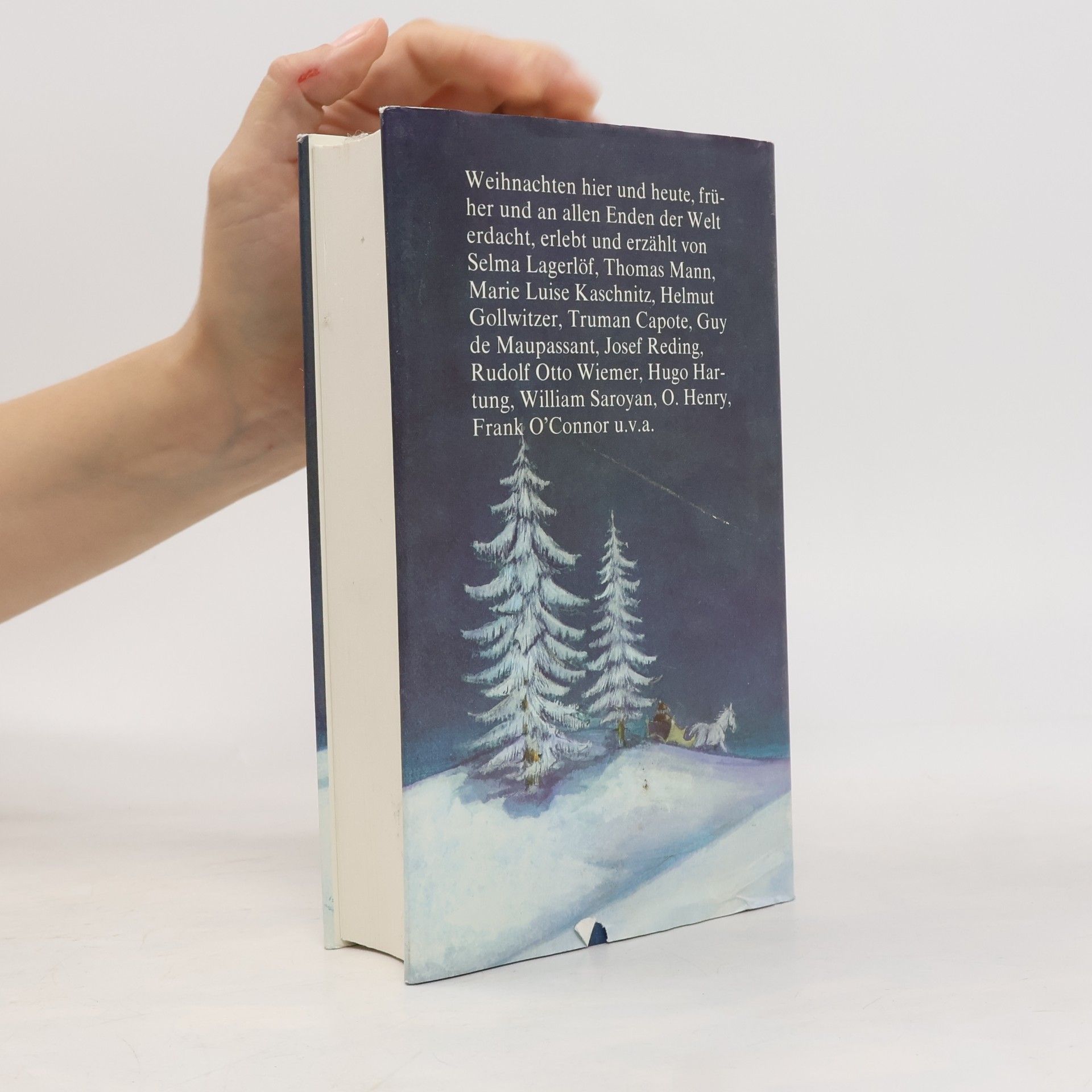 Autorenkollektiv Weihnachtsgeschichten