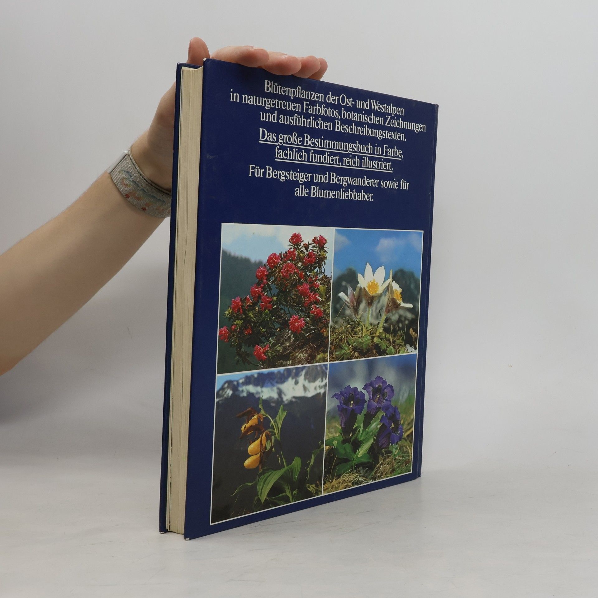Wolfgang Lippert Fotoatlas der Alpenblumen