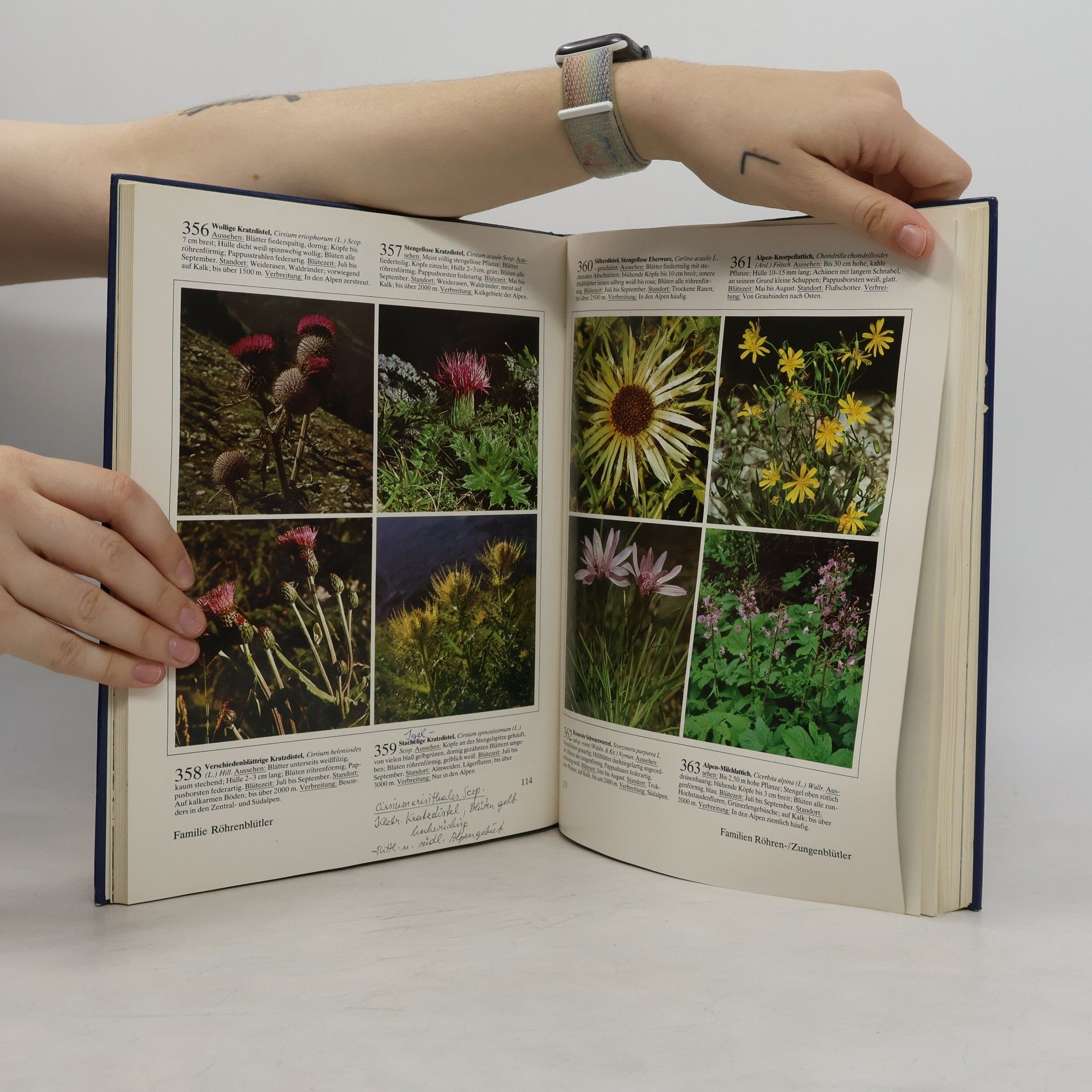 Wolfgang Lippert Fotoatlas der Alpenblumen