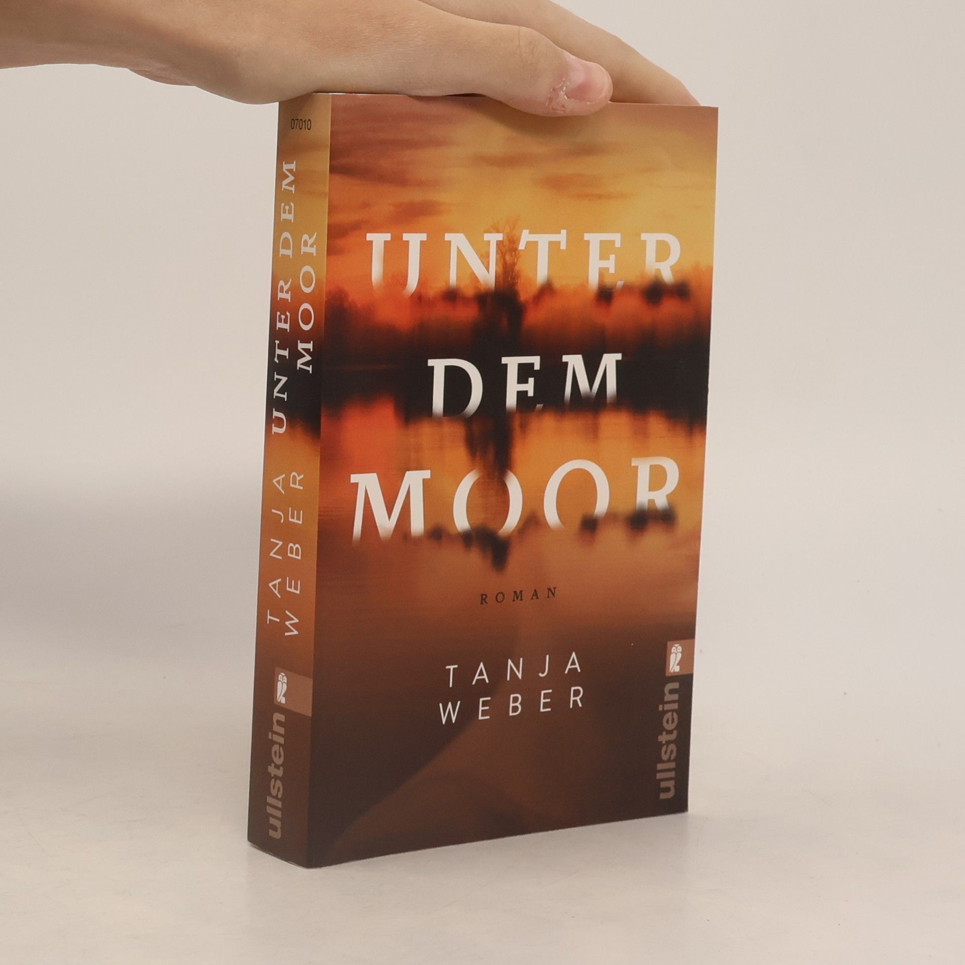 Unter dem Moor