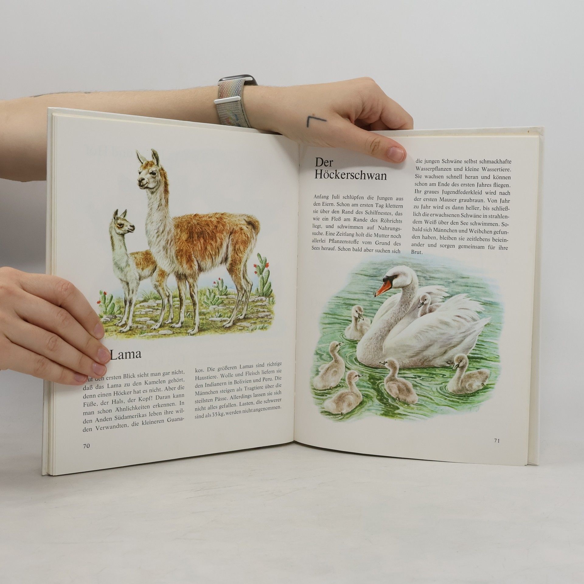 Ernst Waldemar Bauer Mein bunter Tieratlas