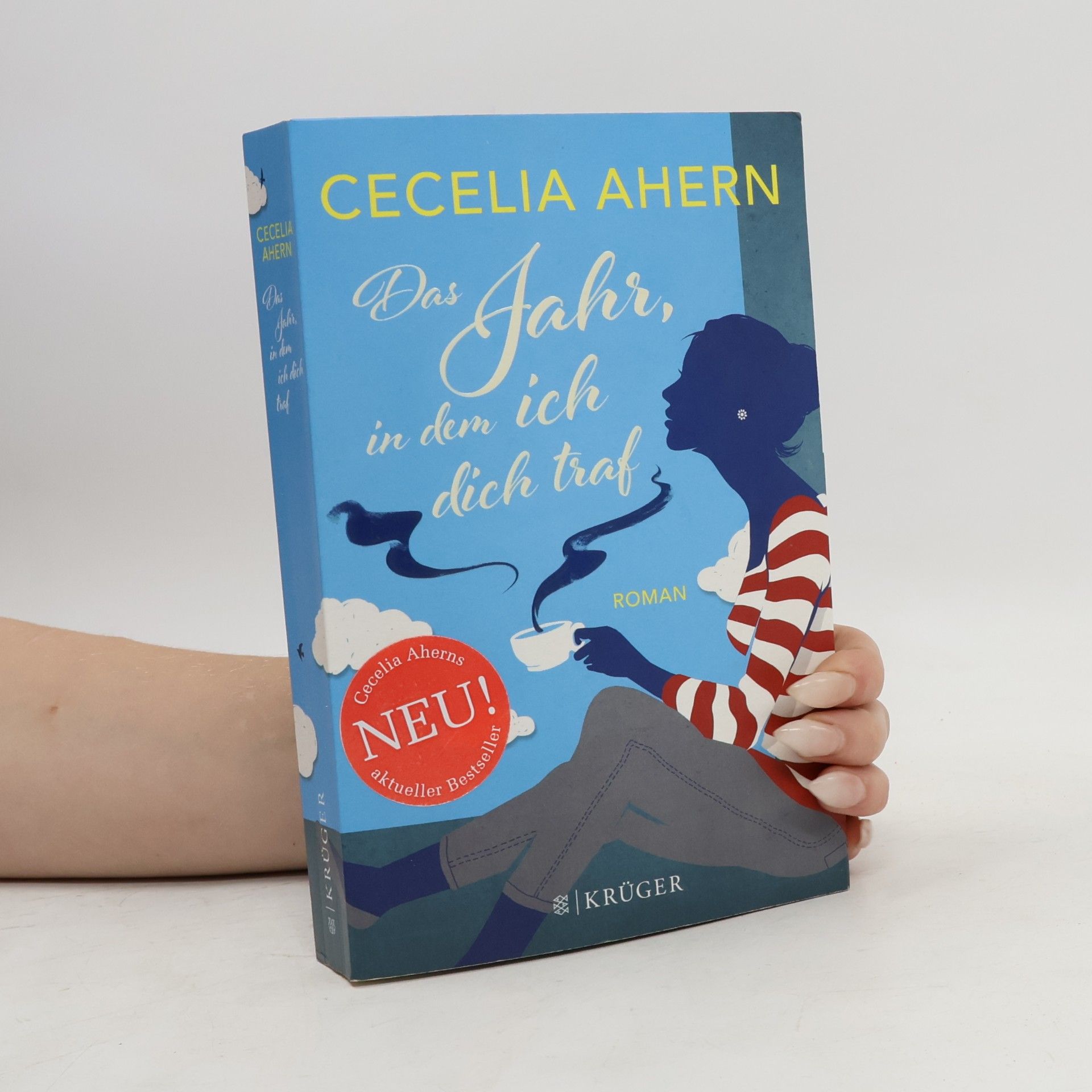 Cecelia Ahern Das Jahr, in dem ich dich traf
