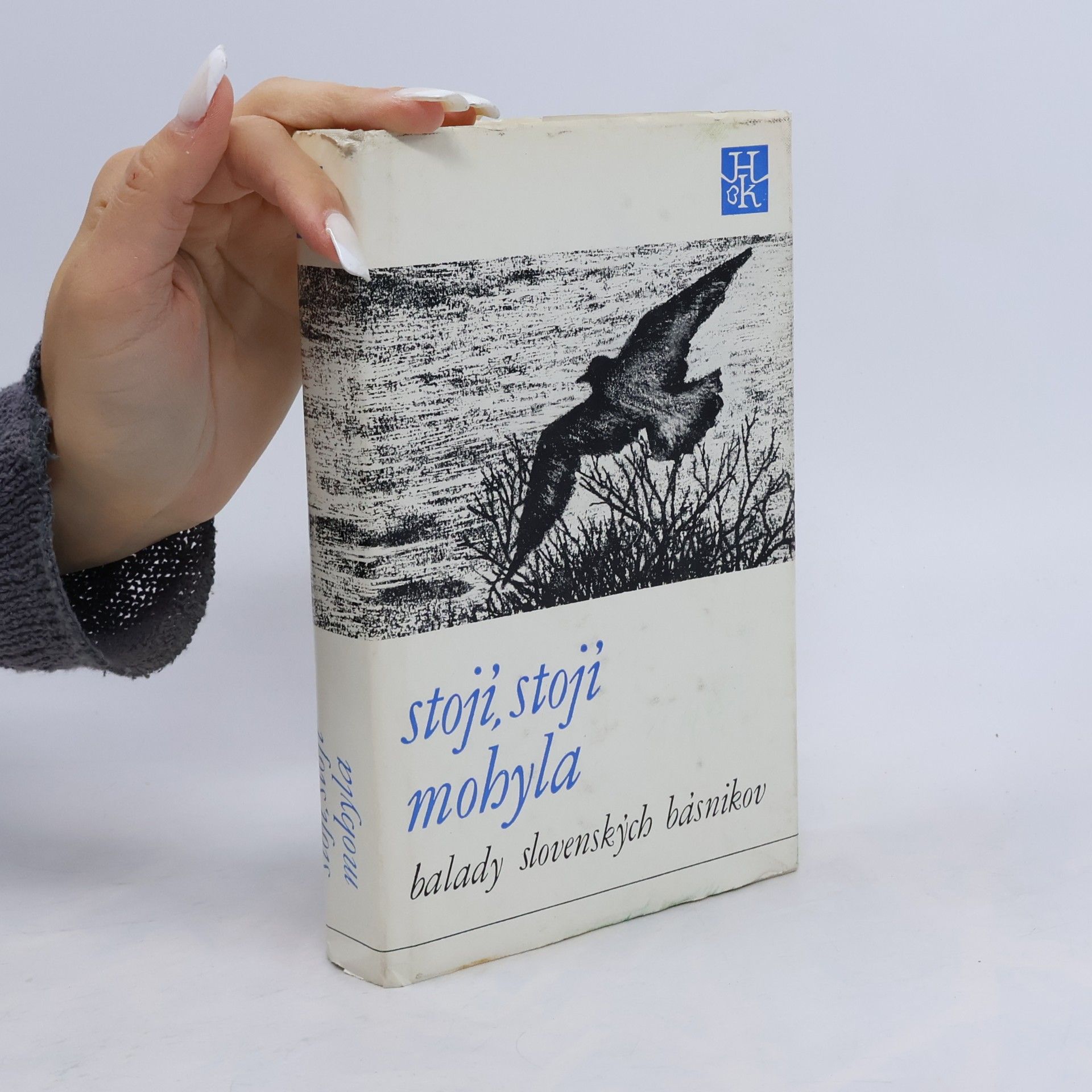Stojí, stojí mohyla
