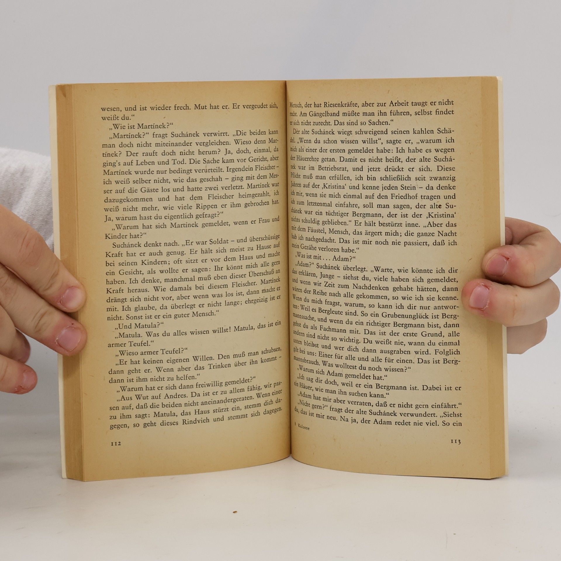 Karel Čapek Die erste Kolonne