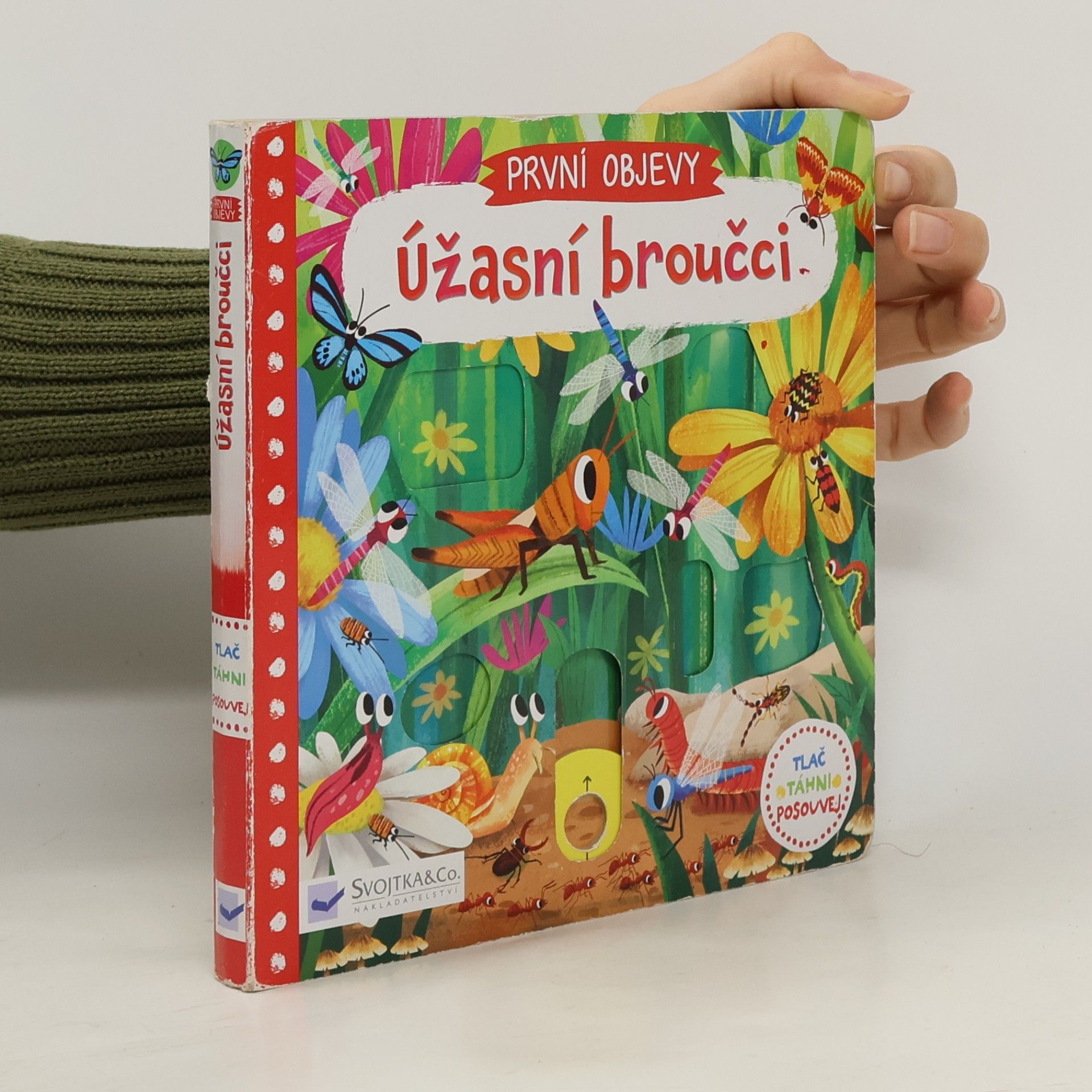 Jenny Wren První objevy: Úžasní broučci