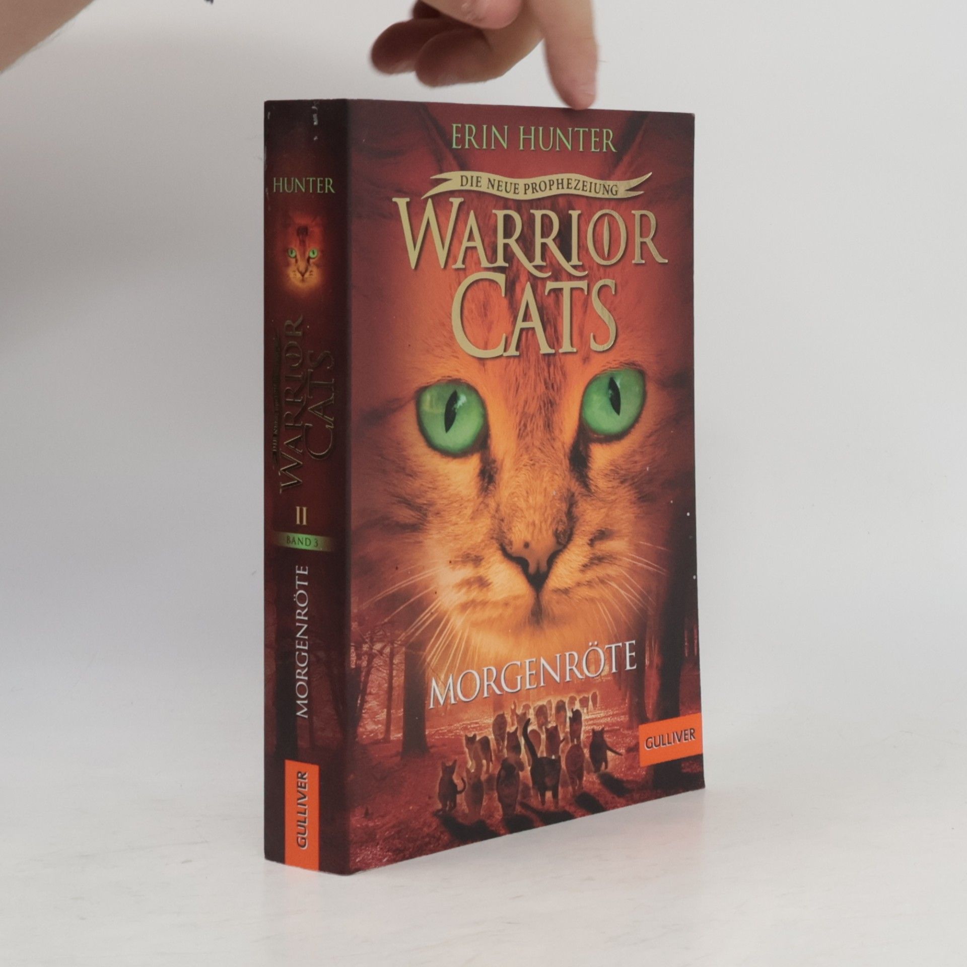 Erin Hunter Warrior Cats. Die neue Prophezeiung Band 3. Morgenröte